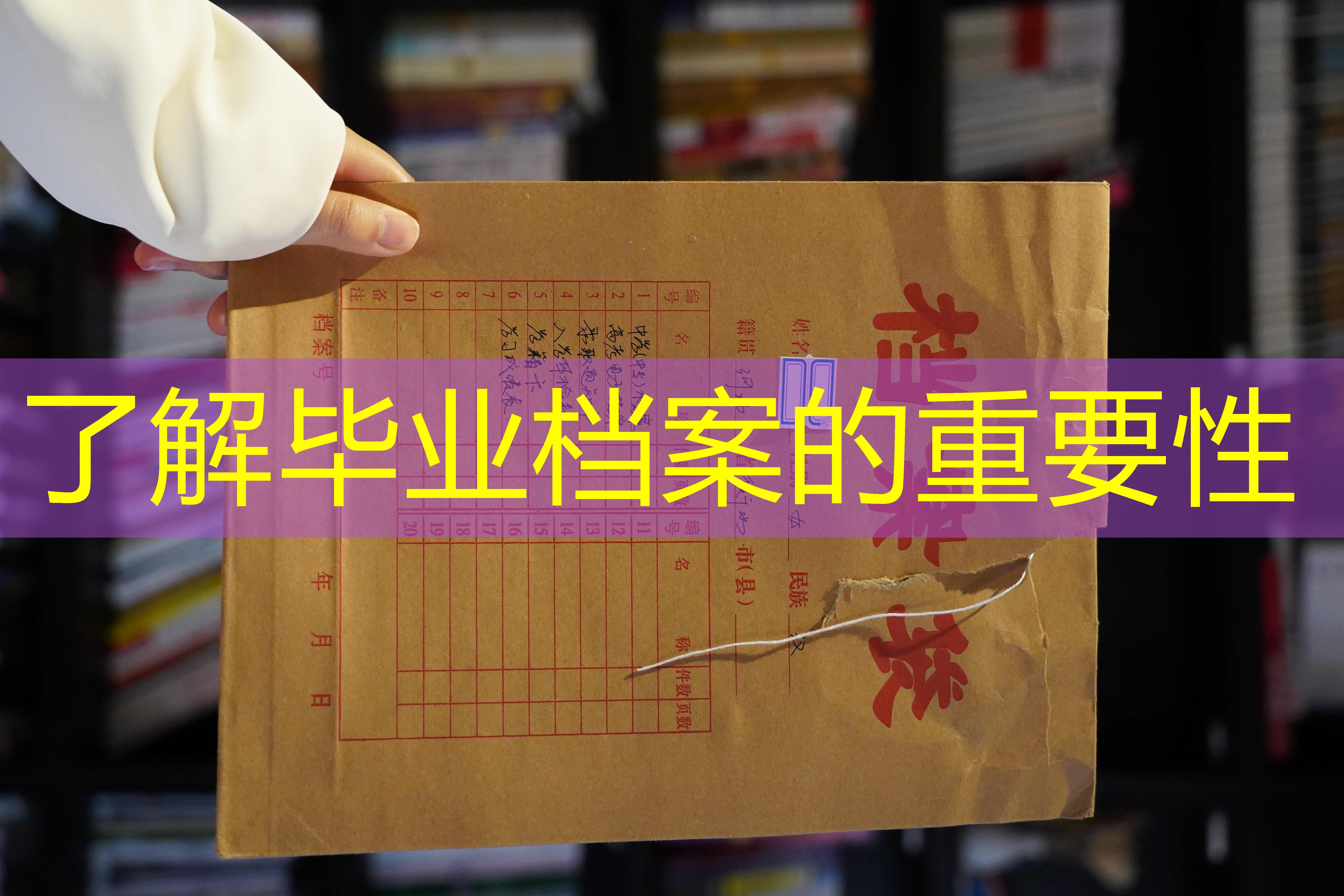 档案查询
