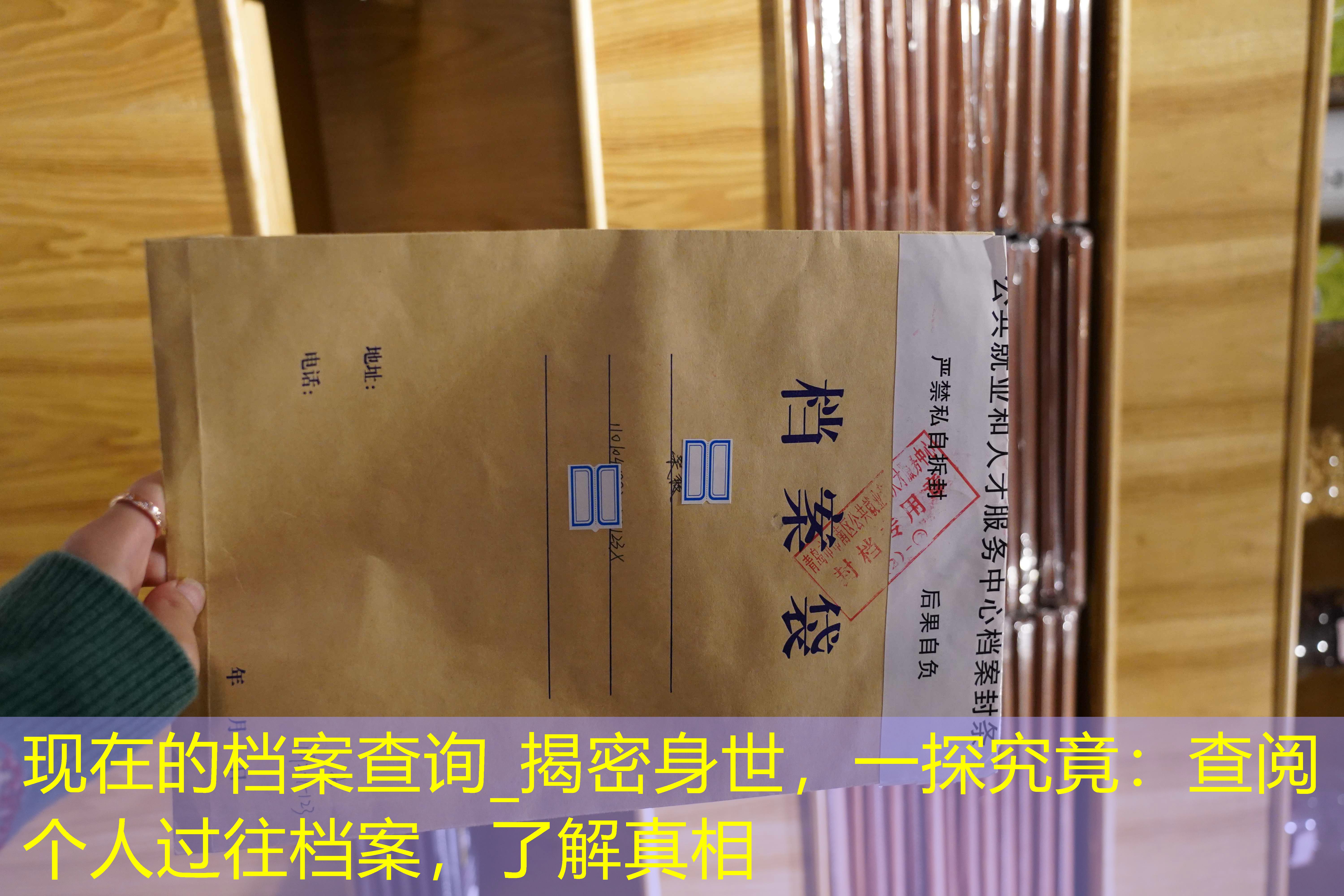 档案查询
