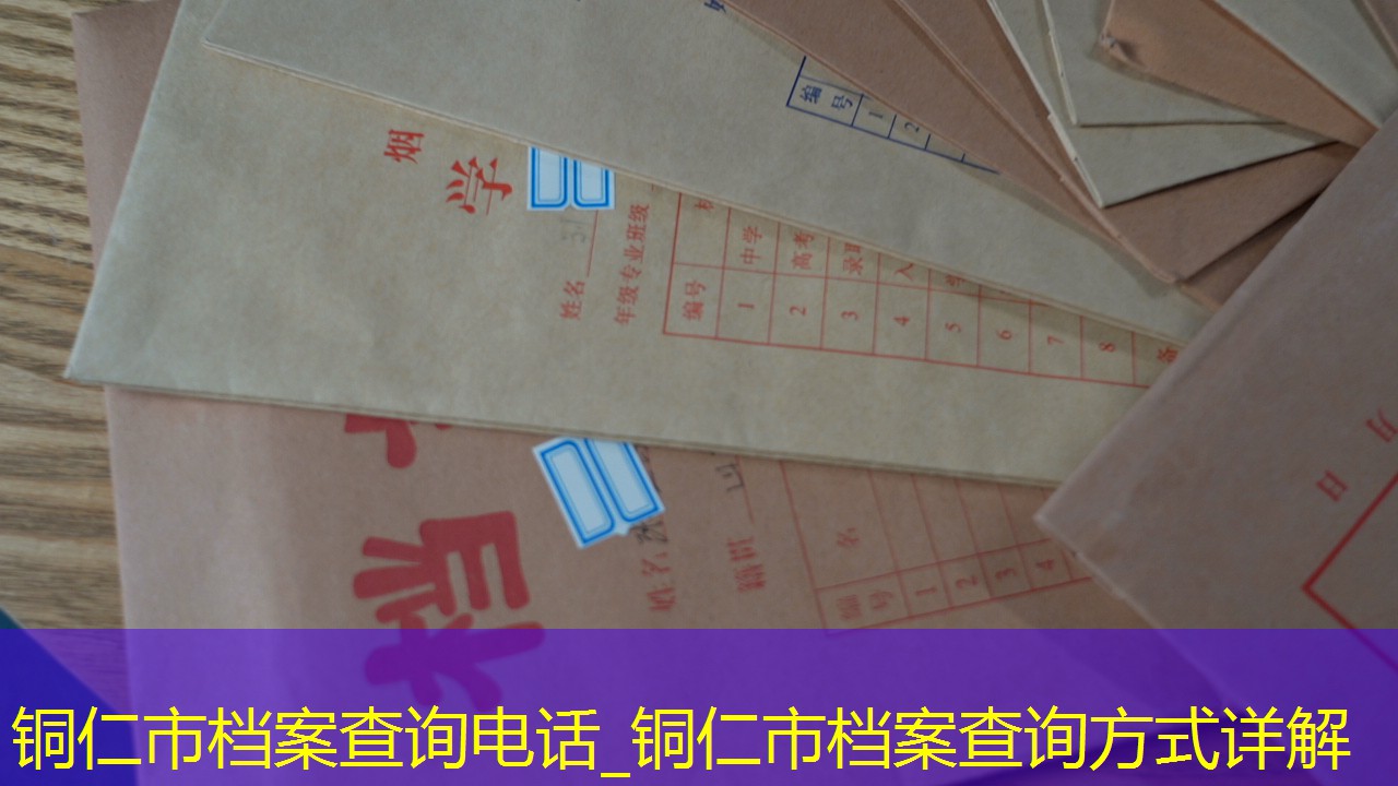 档案查询