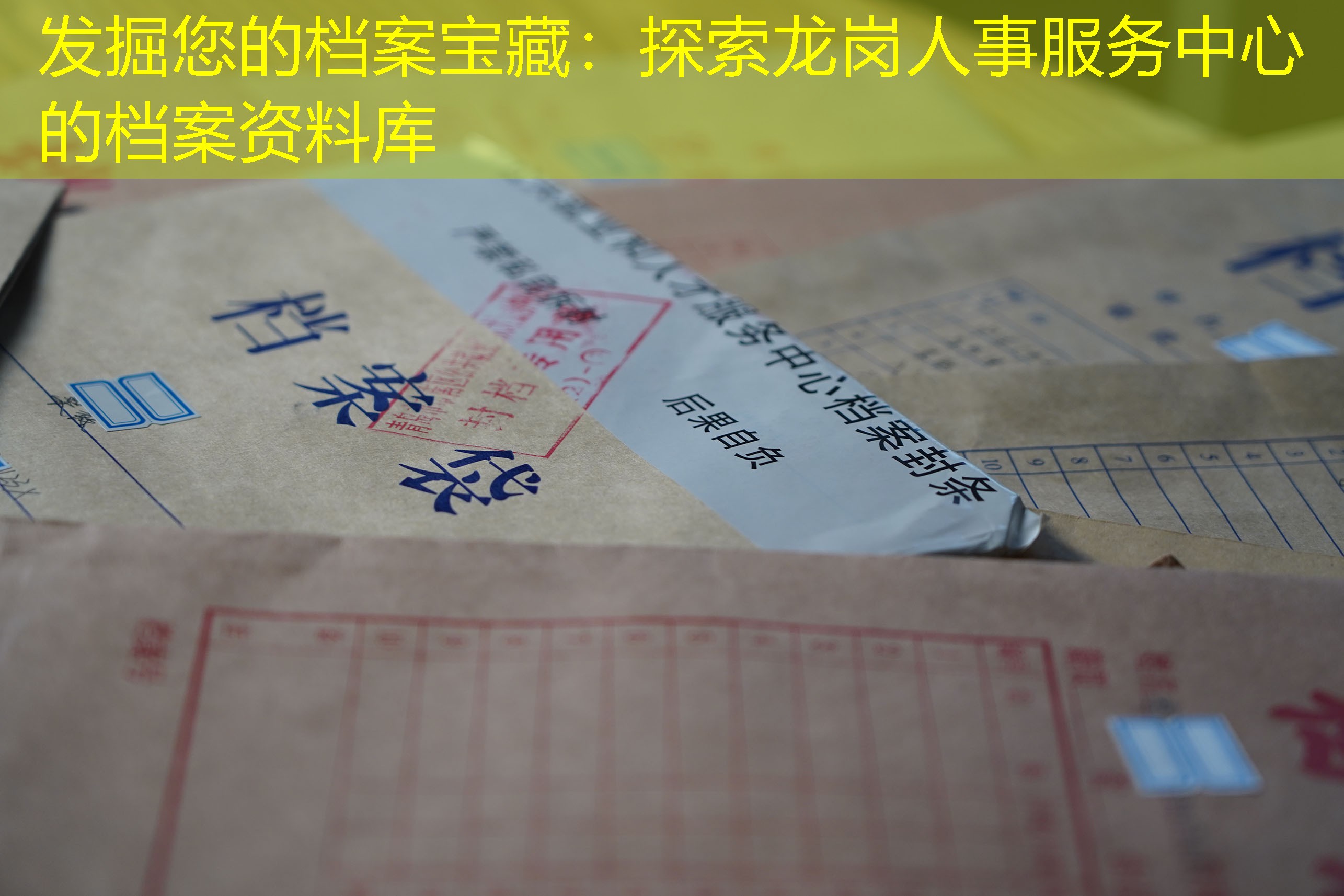 档案查询