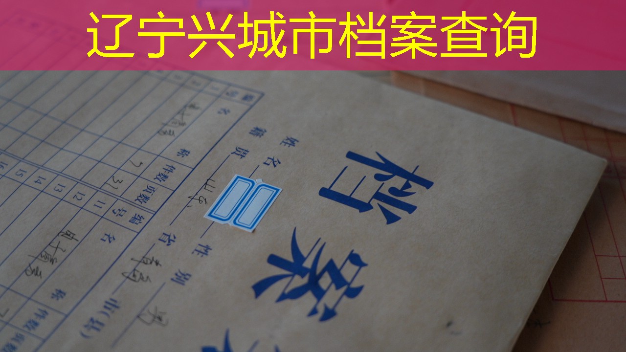 档案查询