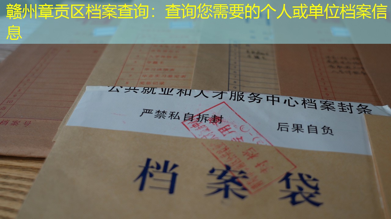档案查询