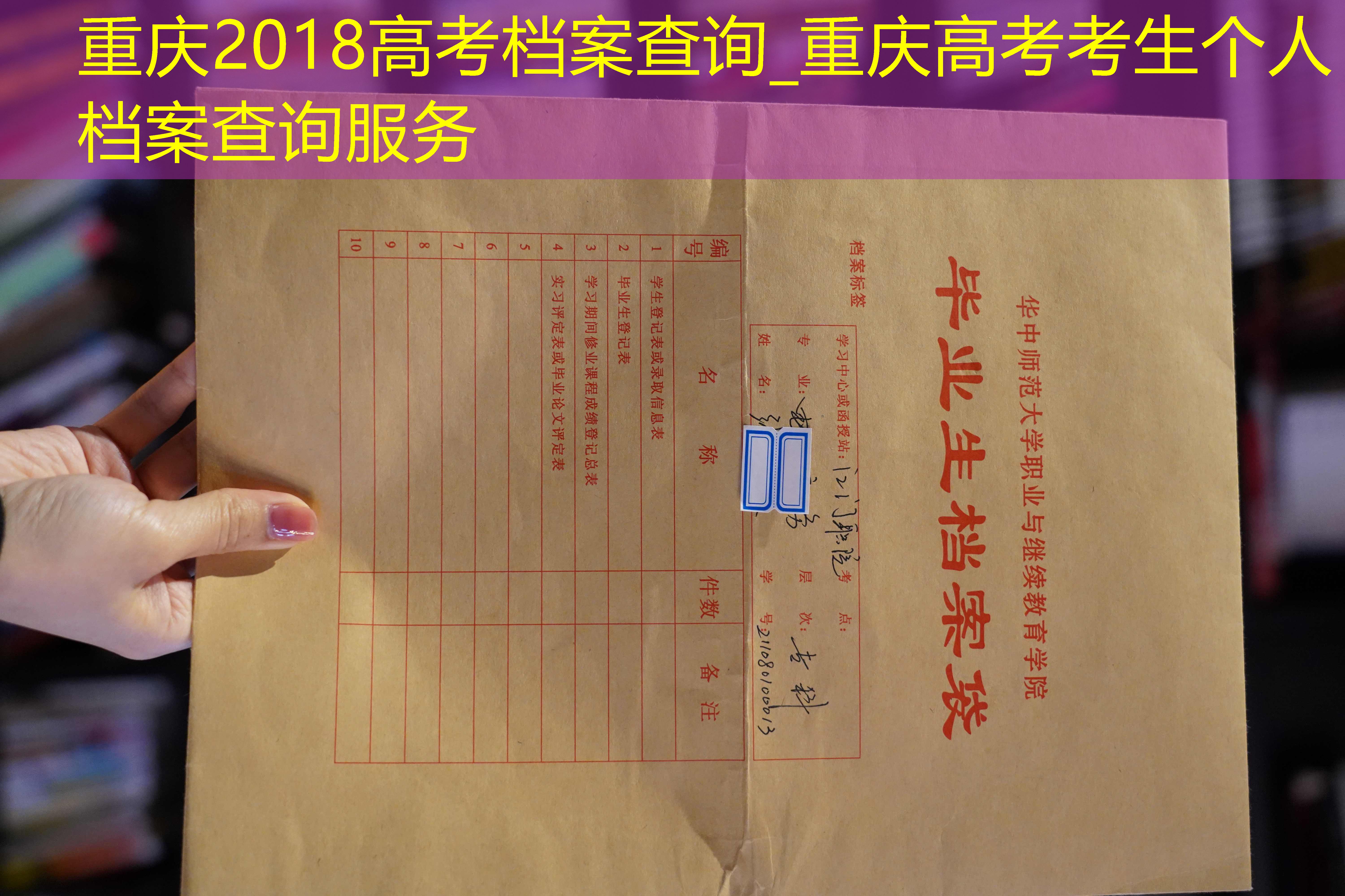 档案查询