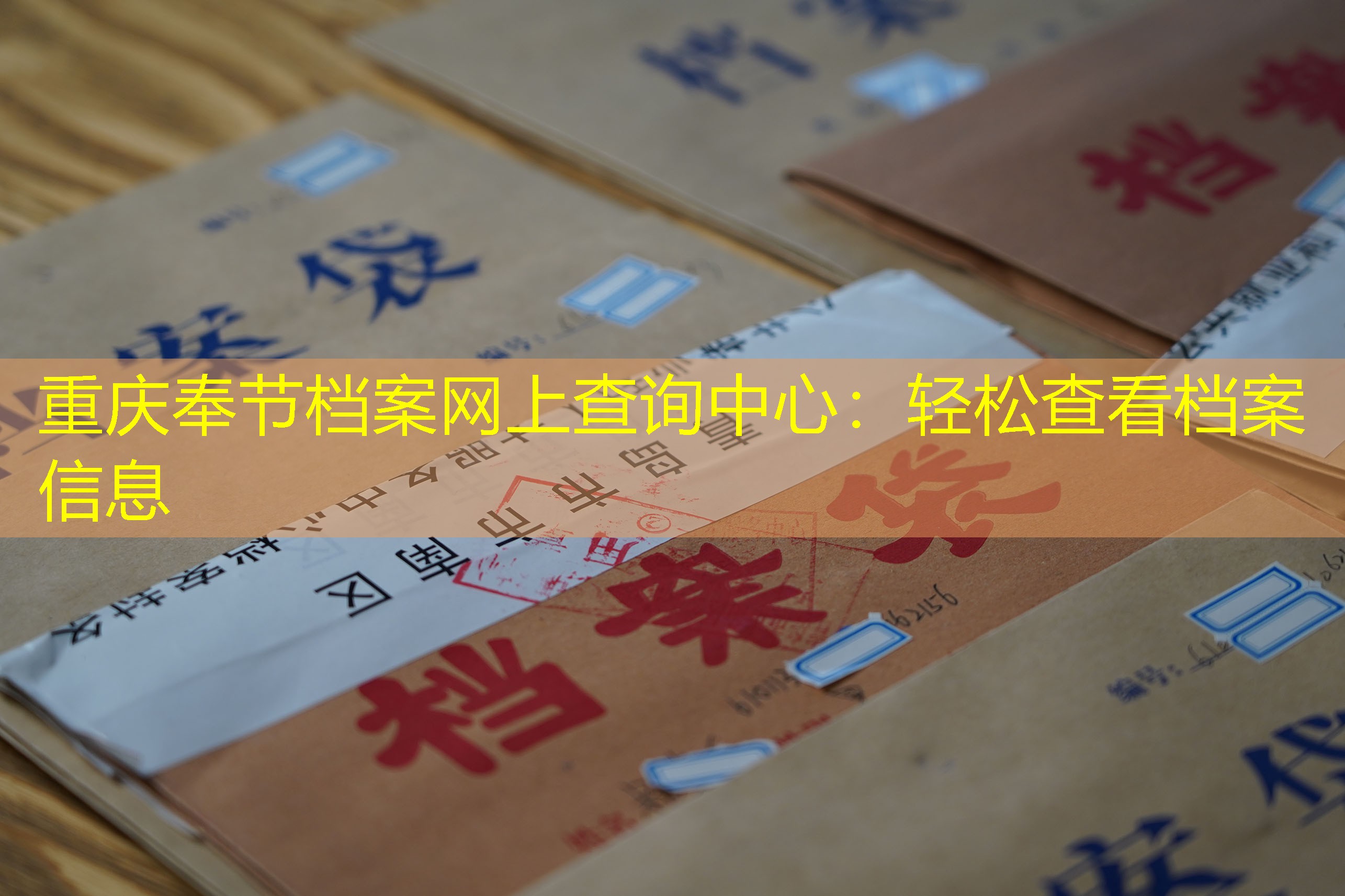 档案查询