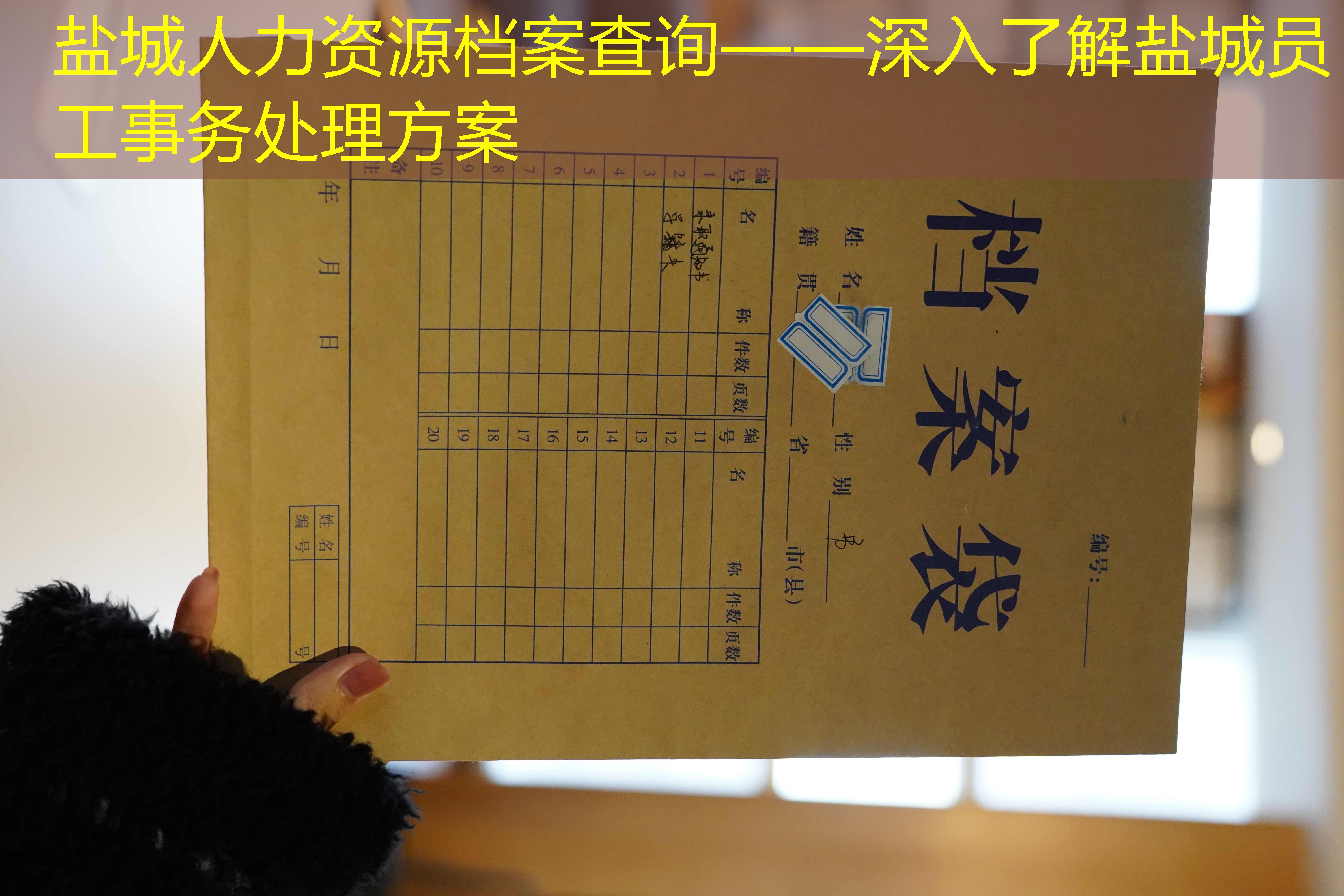 档案查询