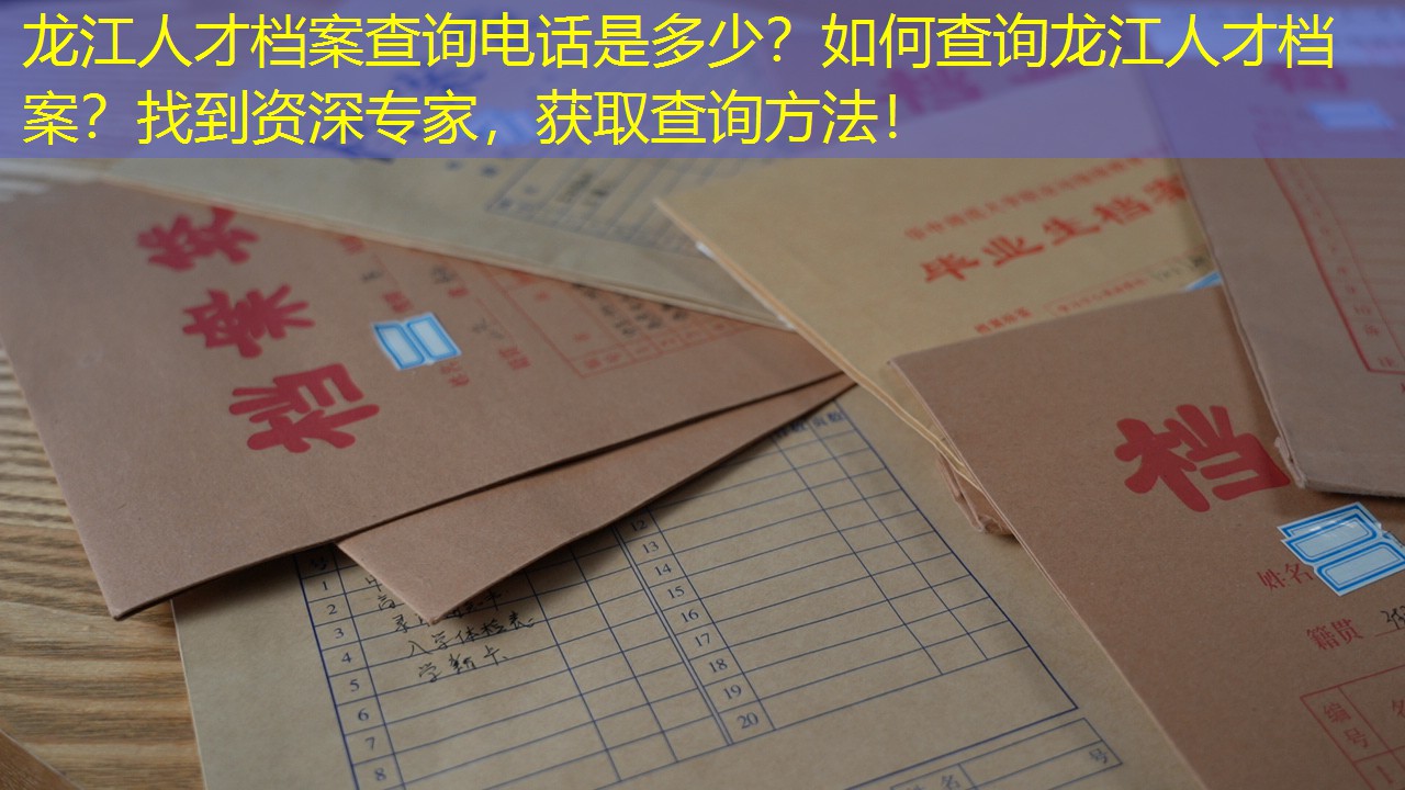 档案查询