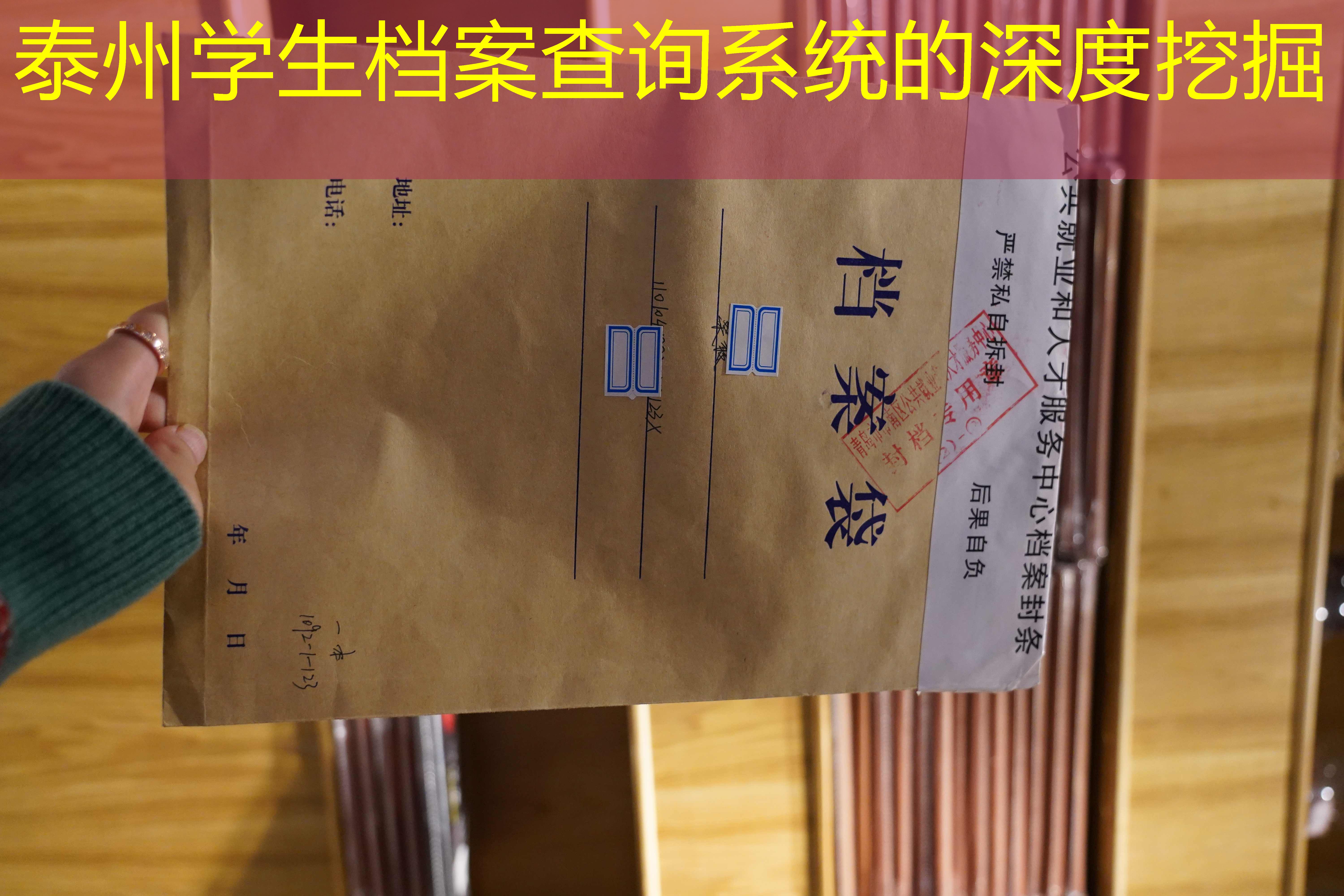 档案查询