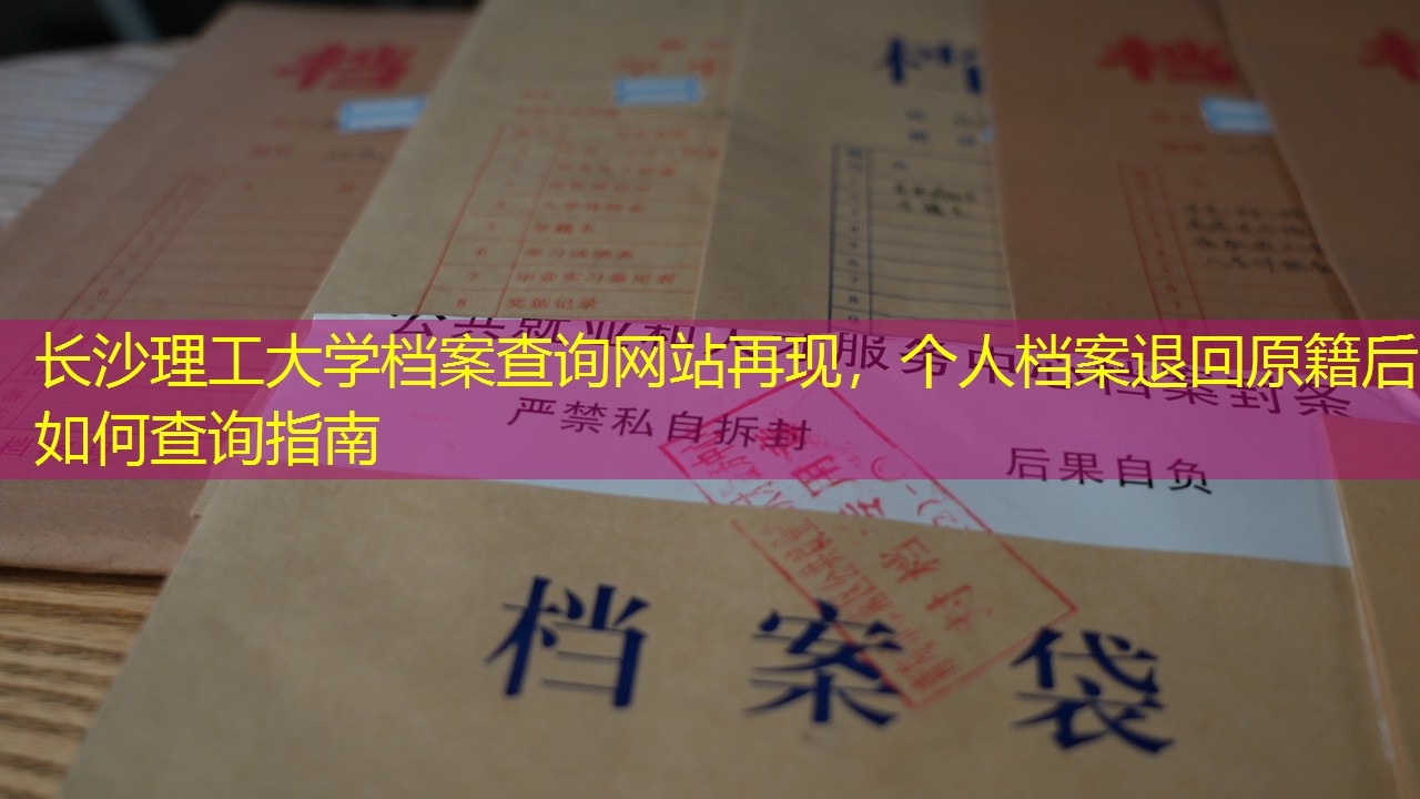 档案查询