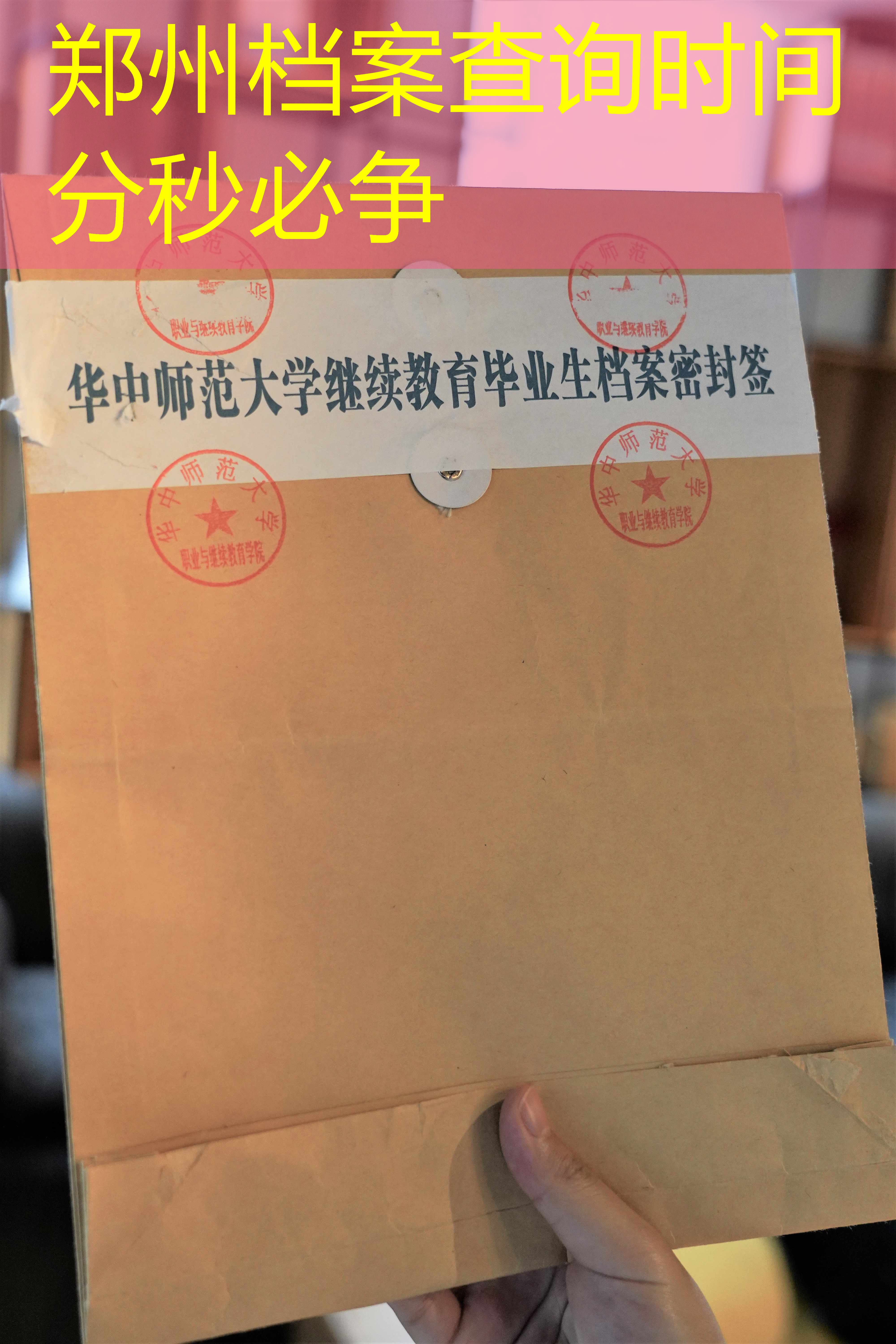 档案查询