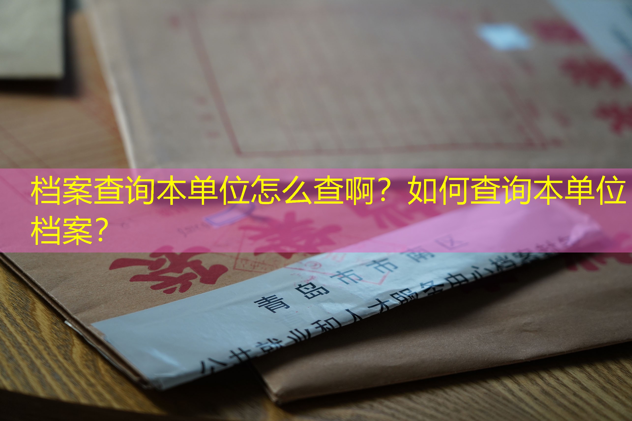 档案查询