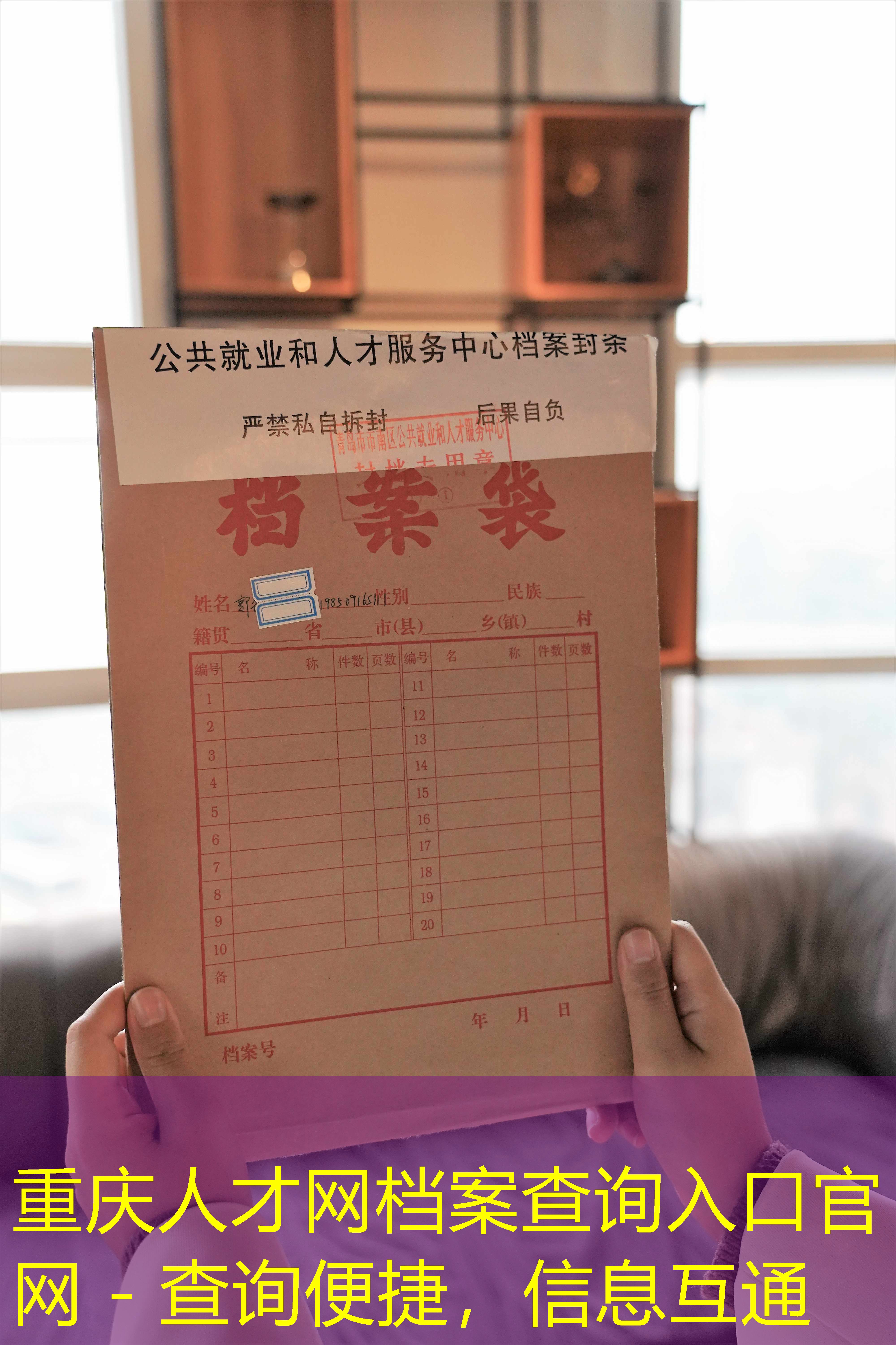 档案查询