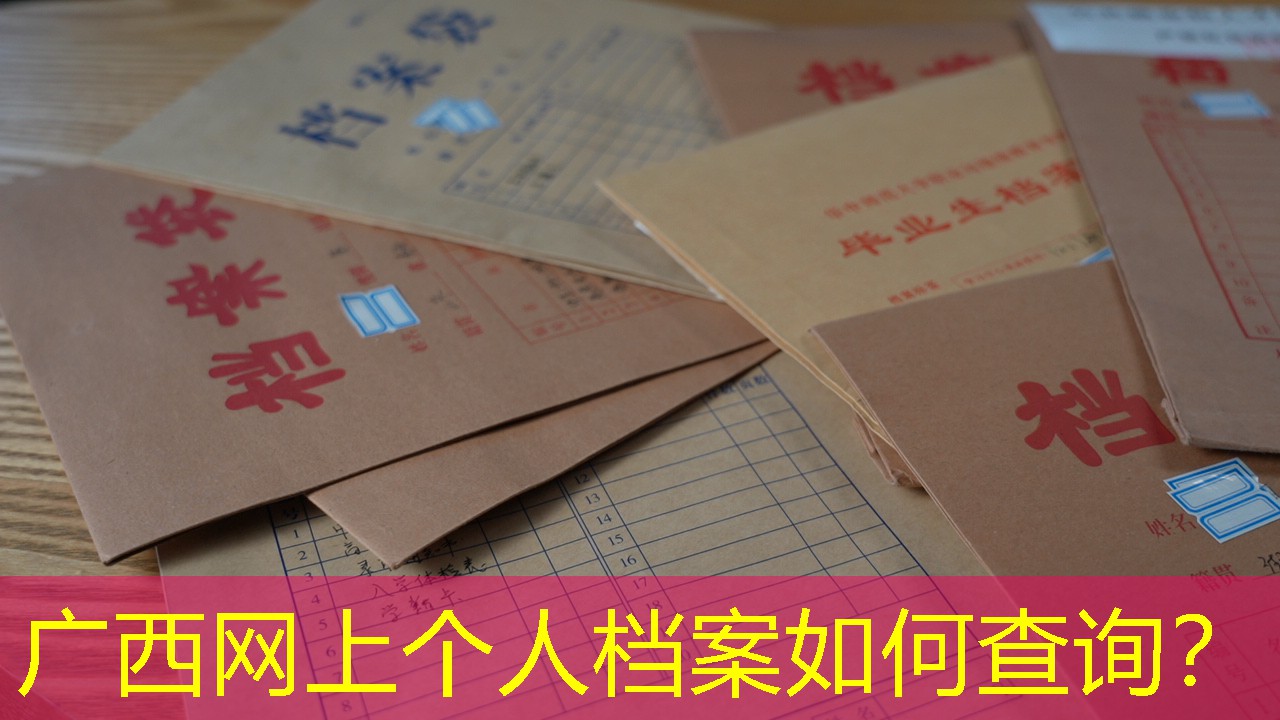 档案查询