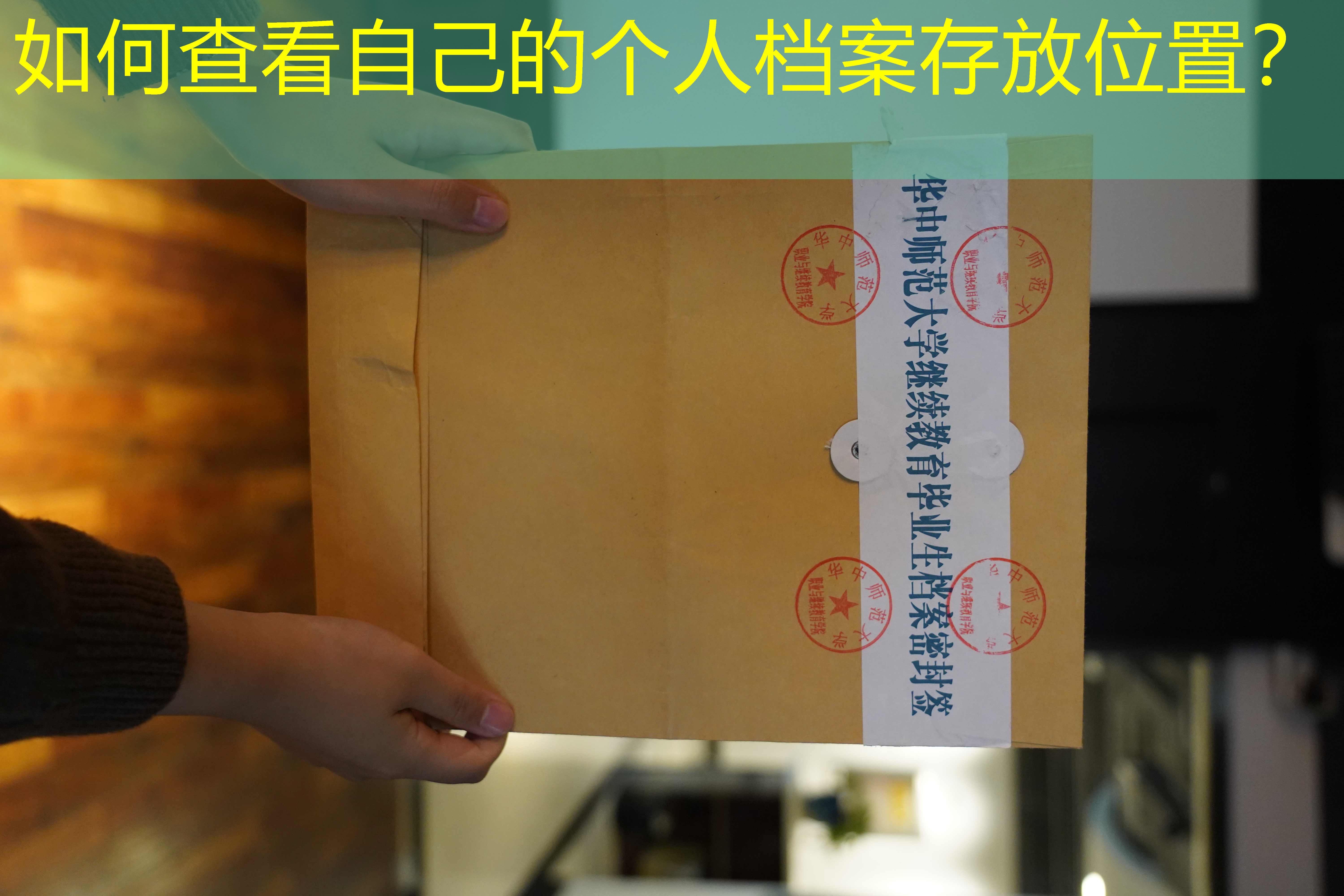 档案查询