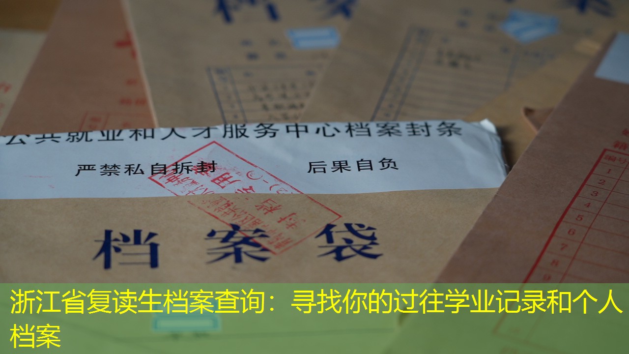 档案查询