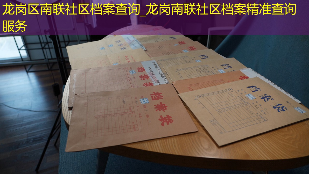 档案查询