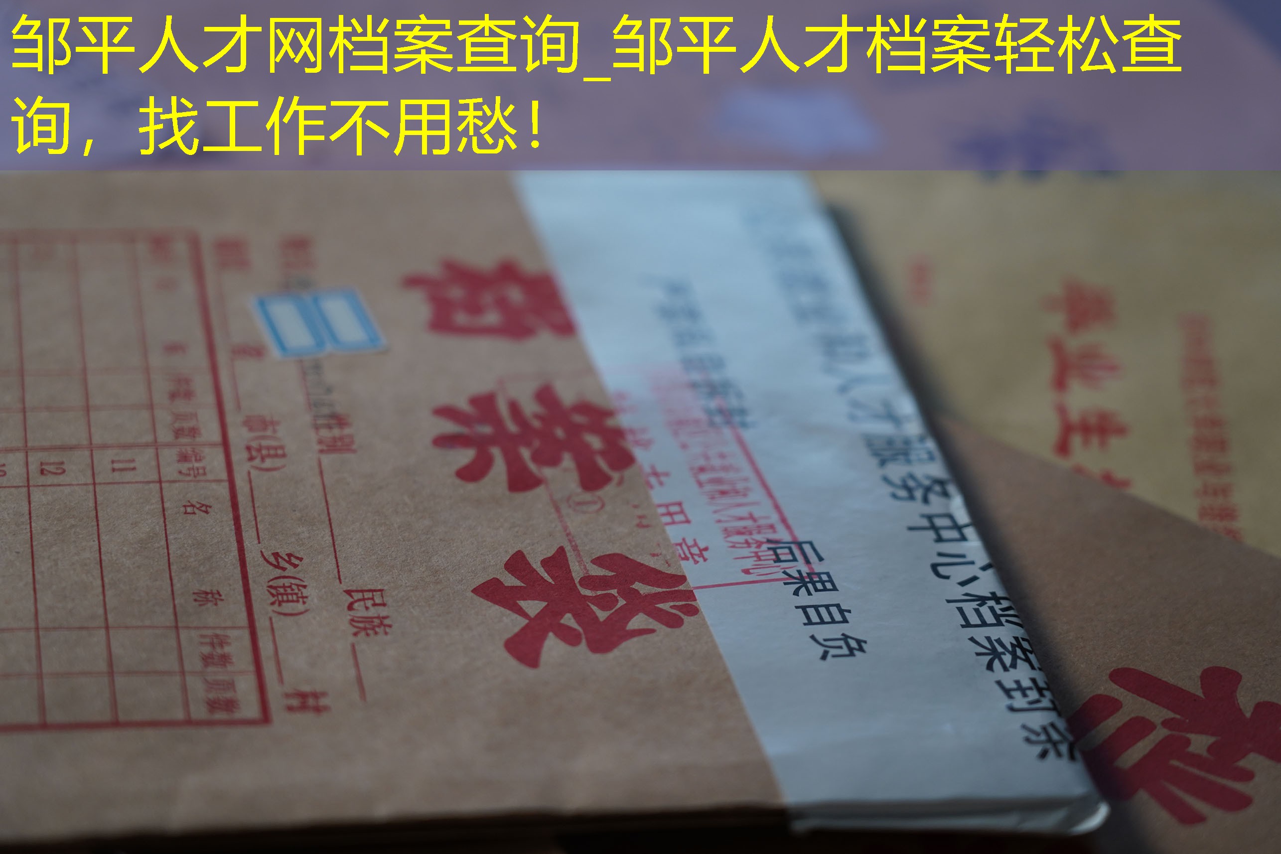 档案查询