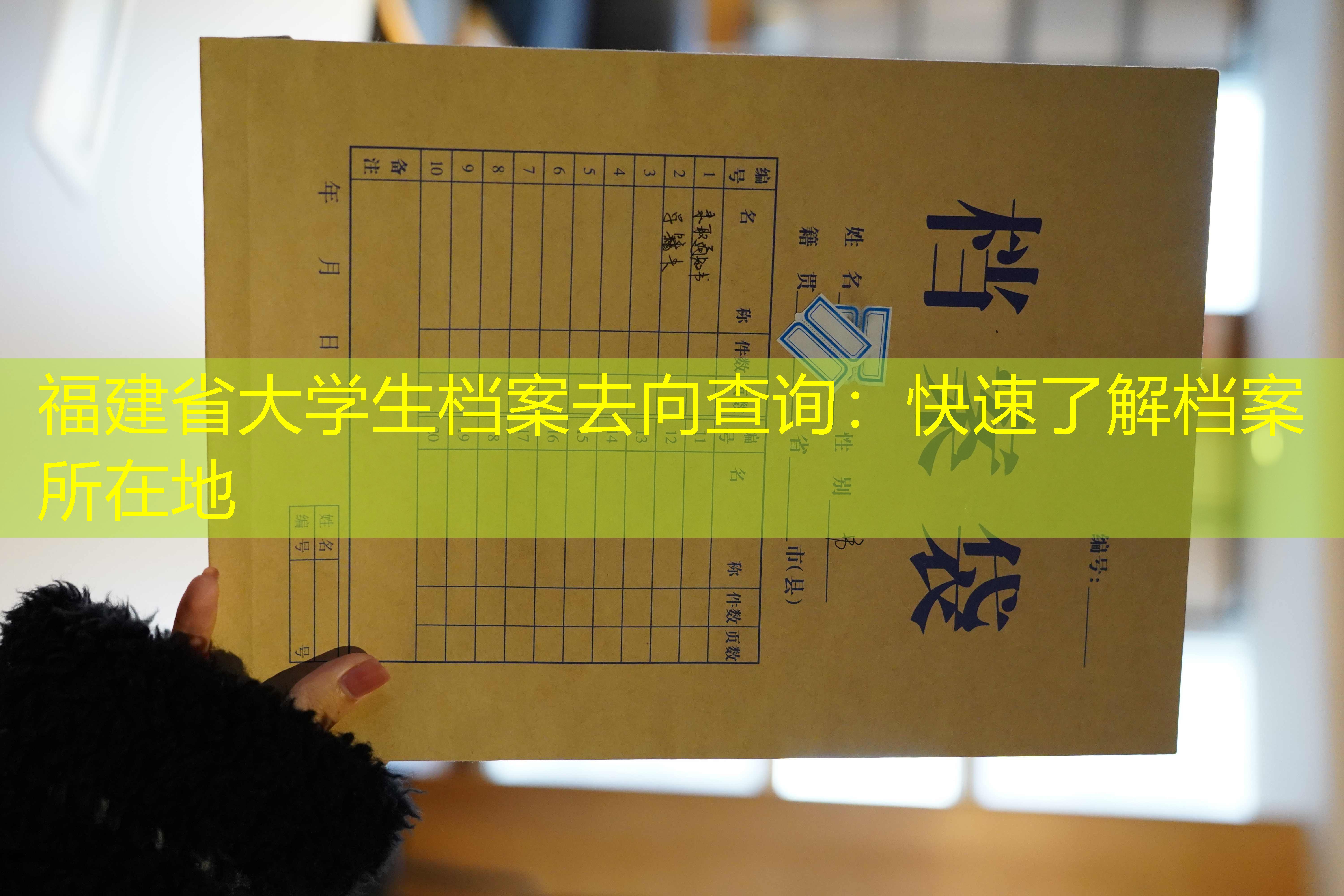 档案查询