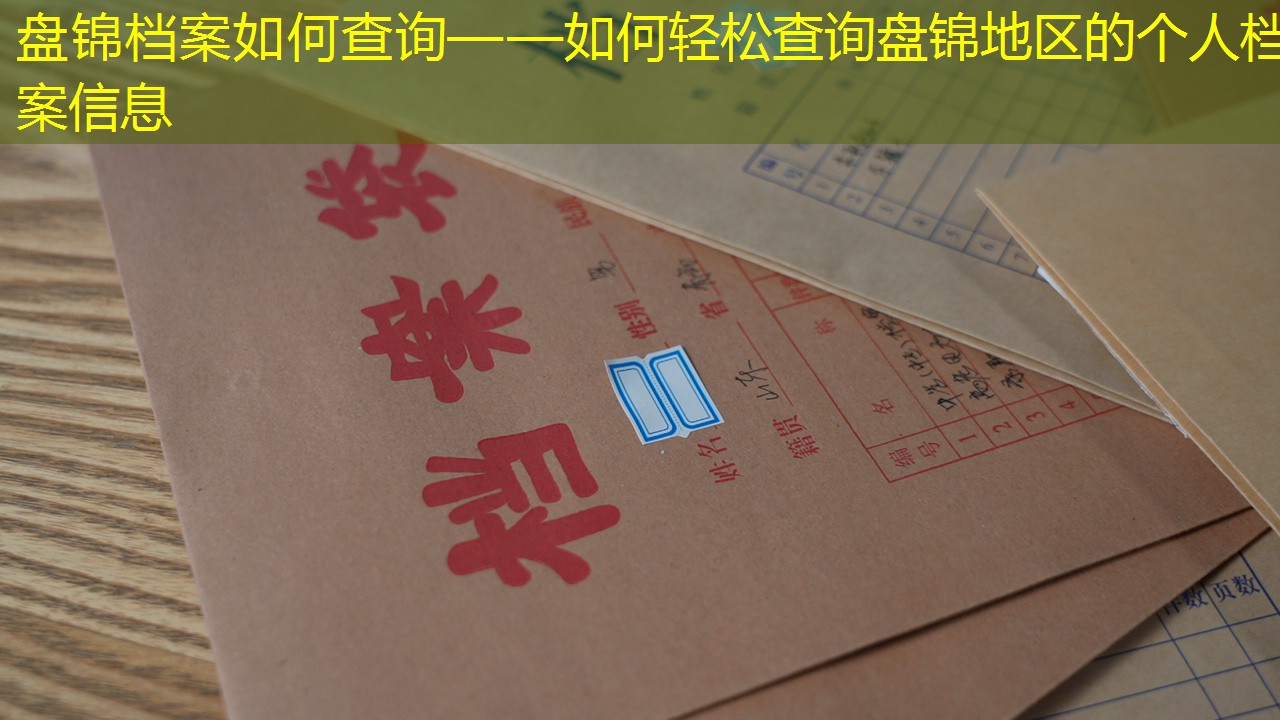 档案查询