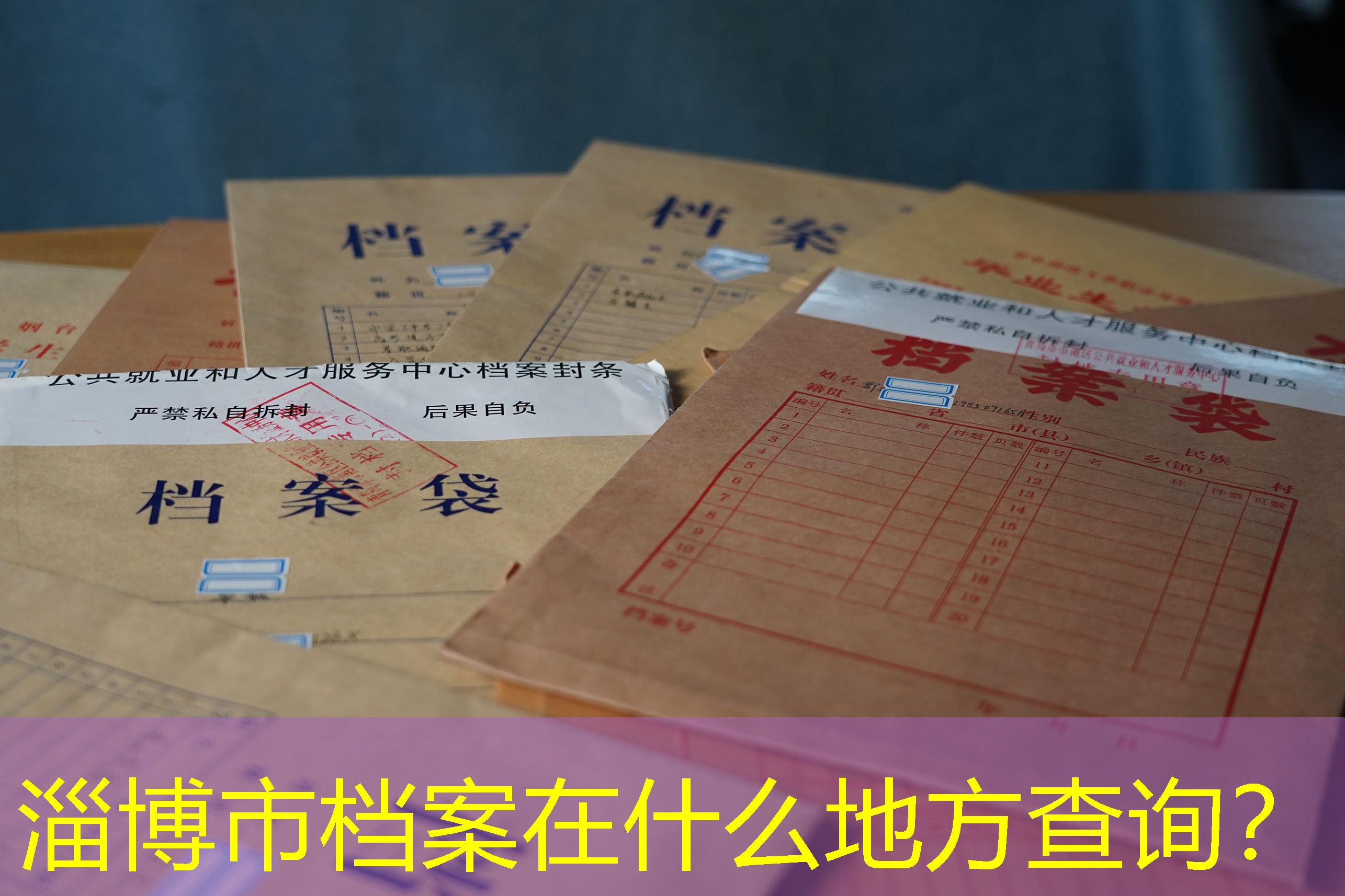 档案查询