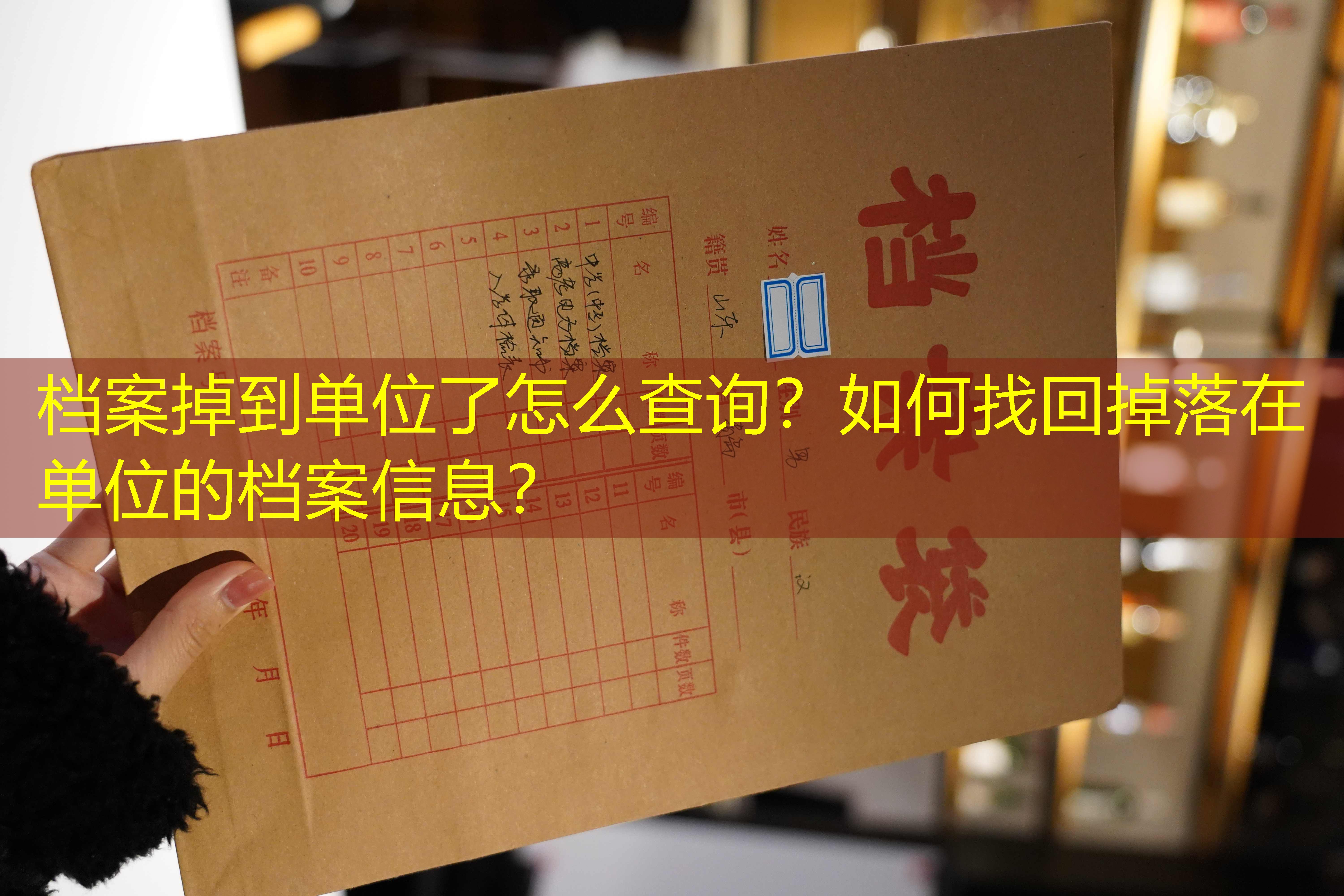 档案查询
