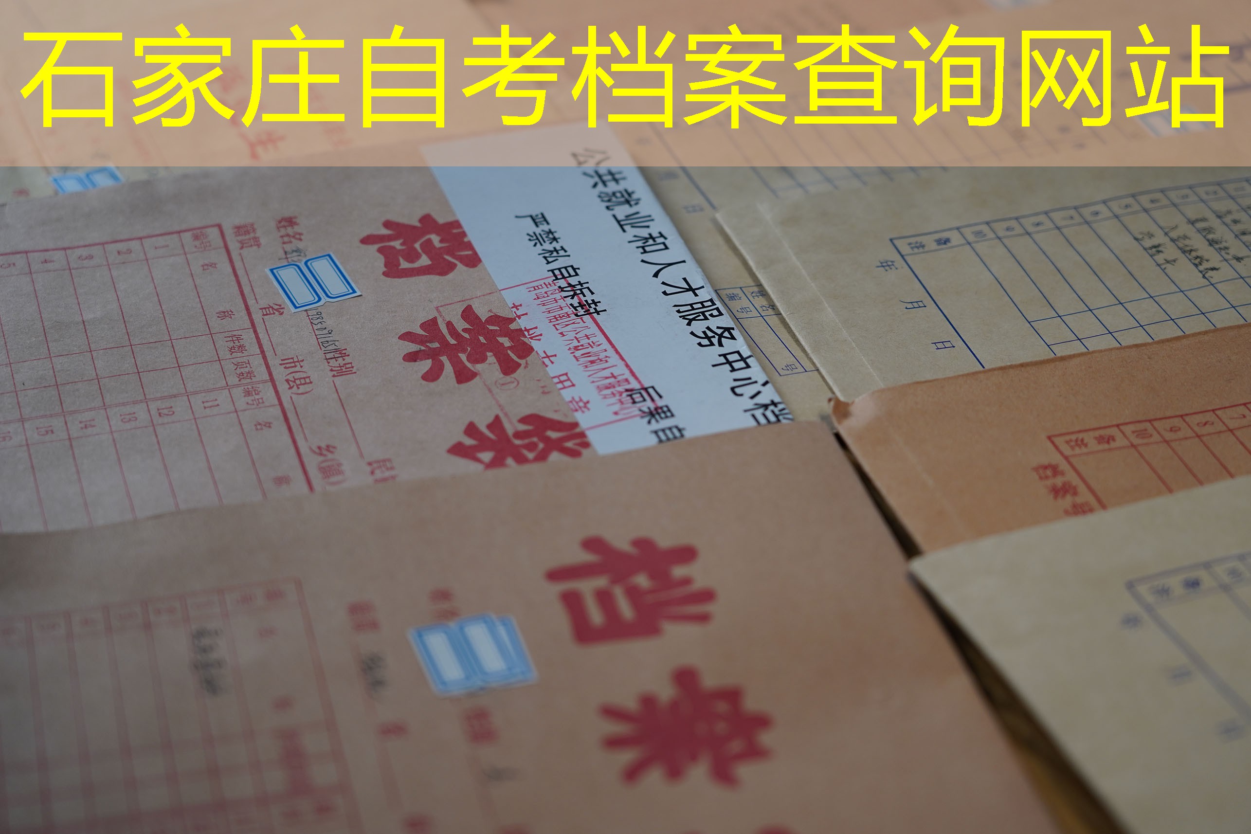 档案查询