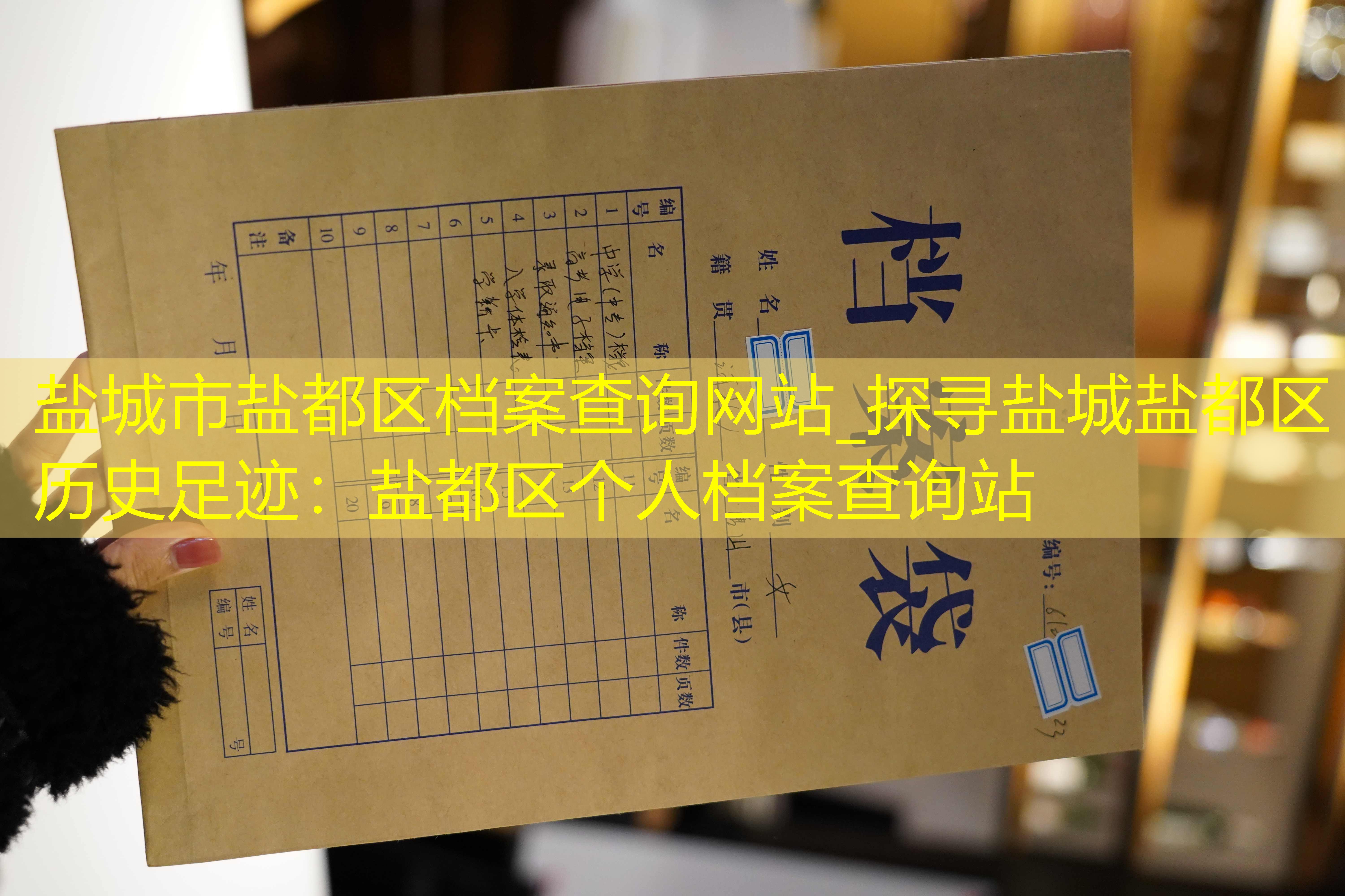 档案查询