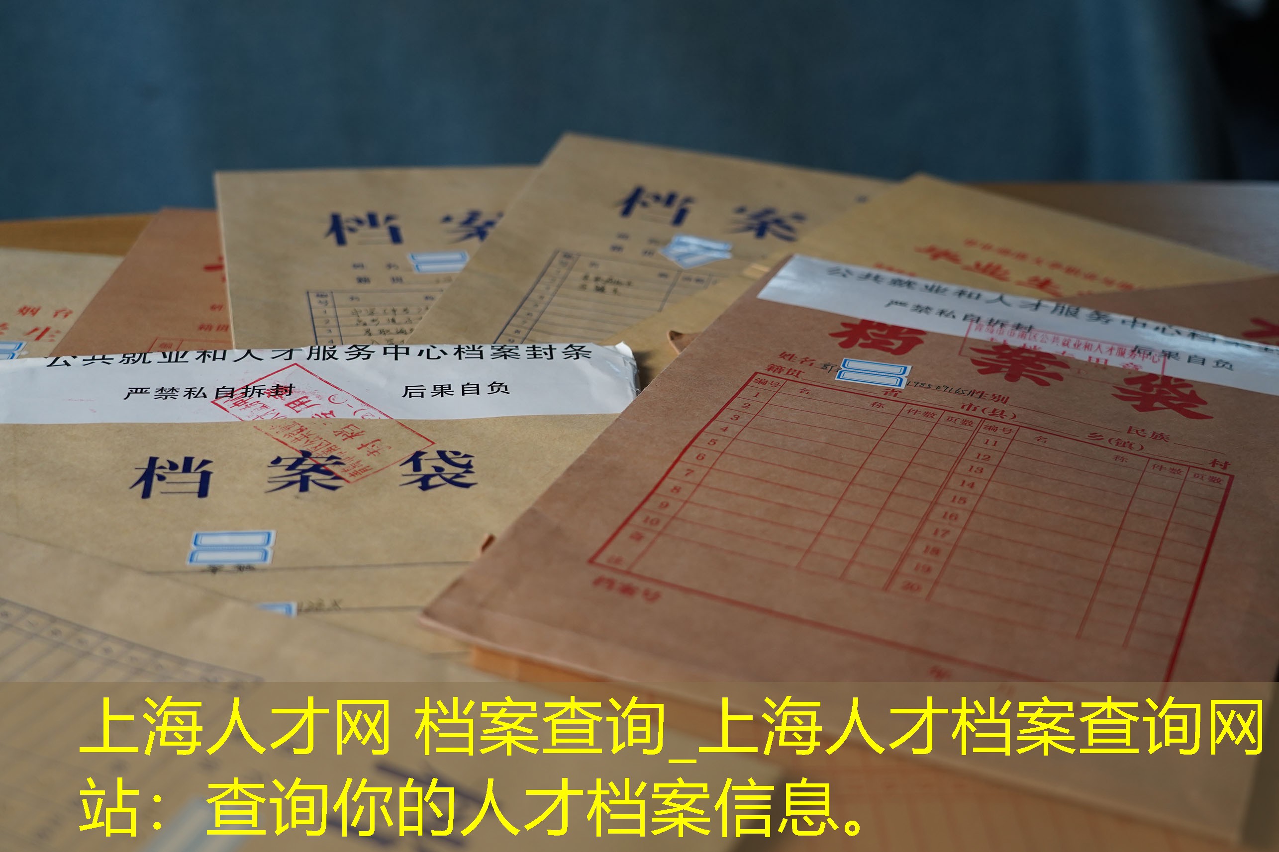 档案查询
