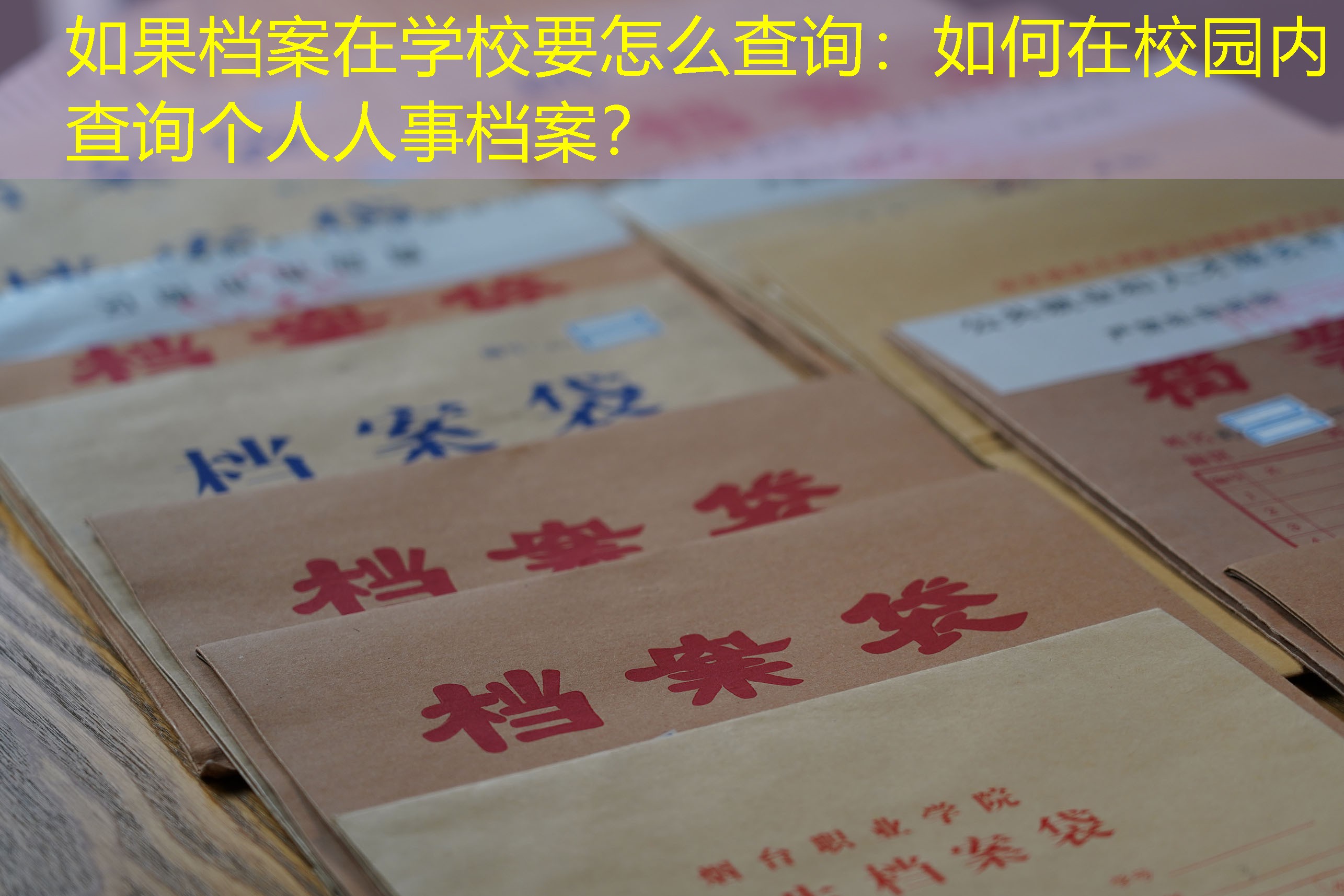 档案查询