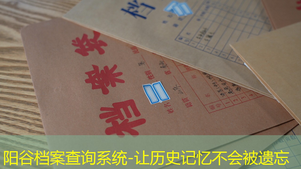 档案查询