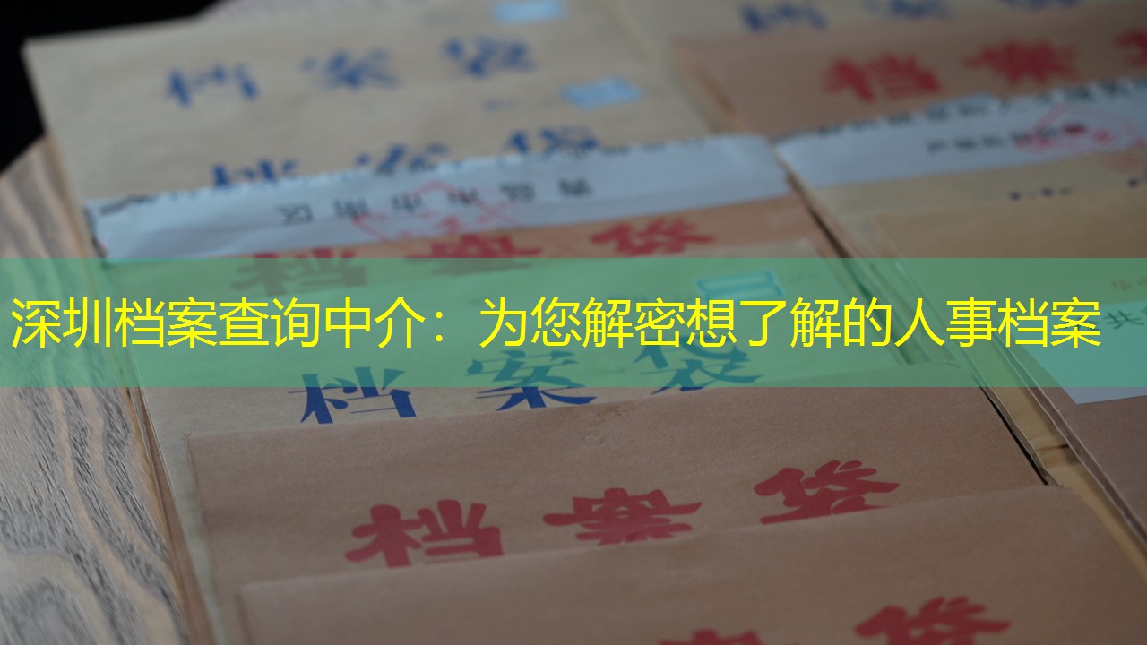 档案查询
