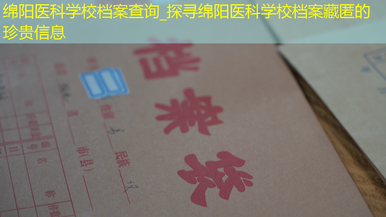 档案查询