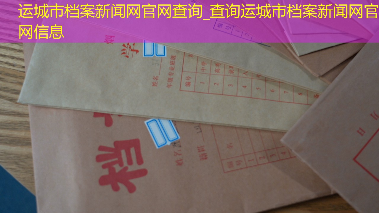 档案查询