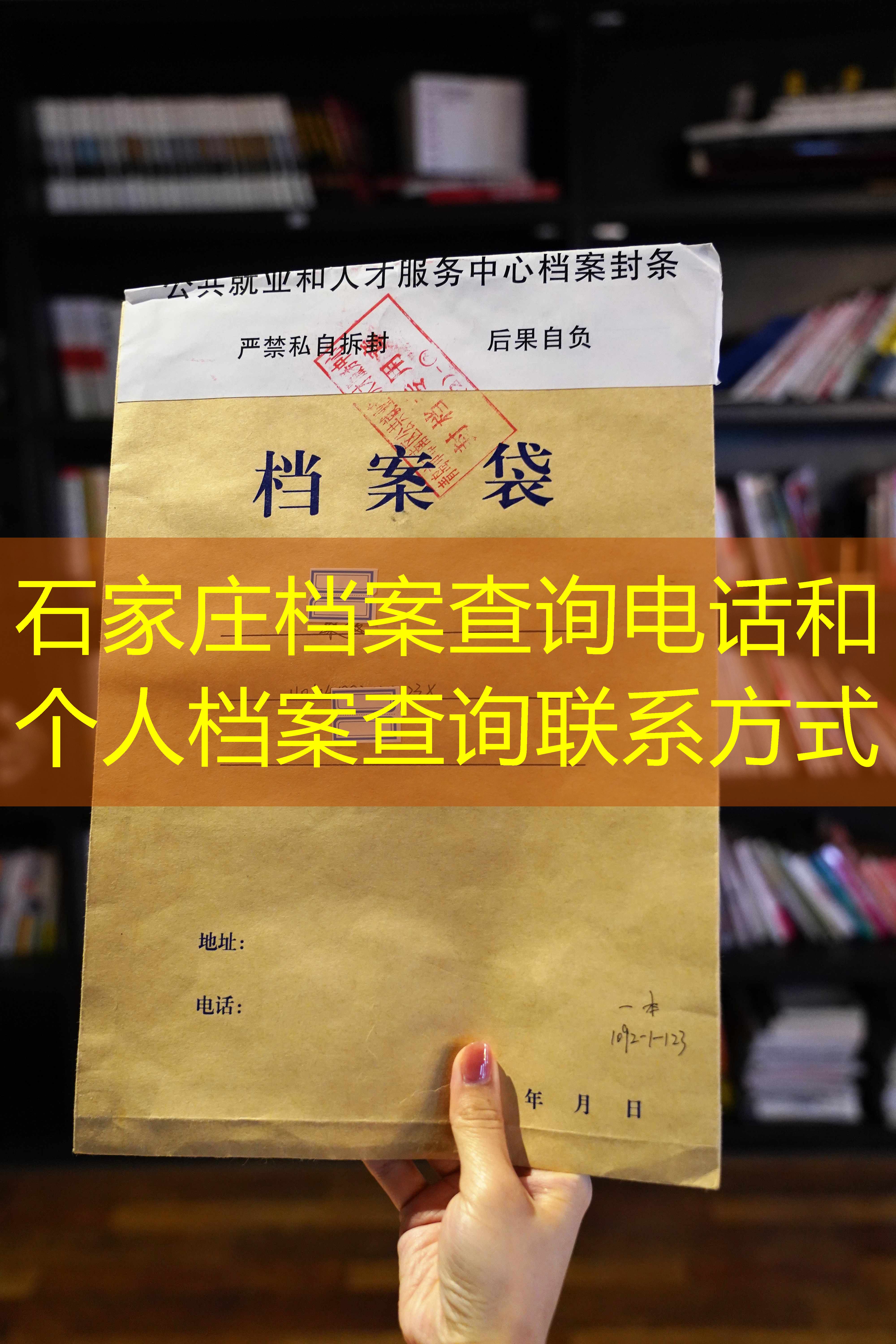 档案查询