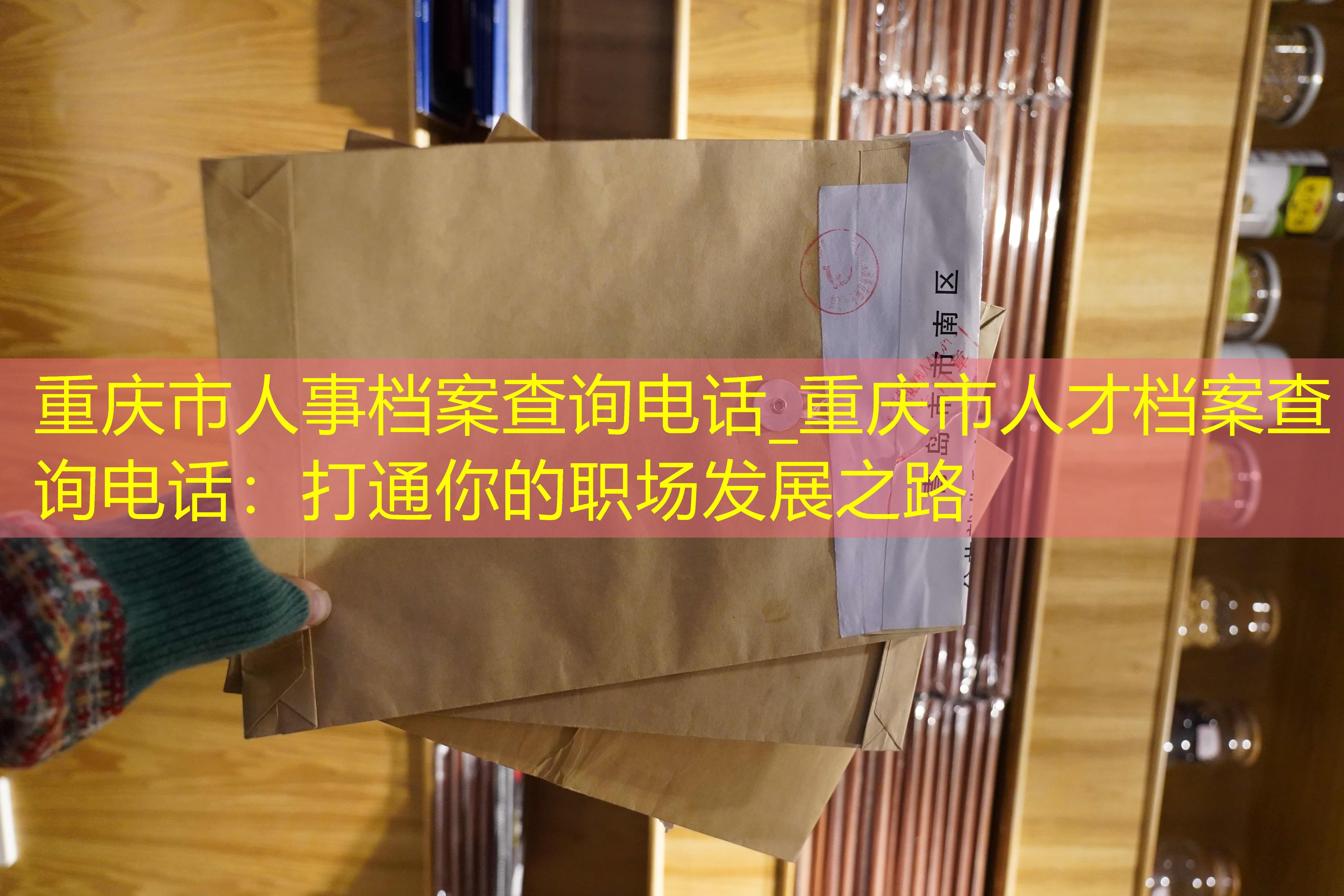 档案查询