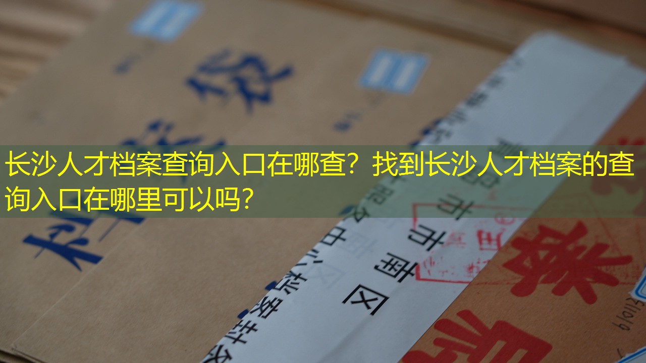 档案查询