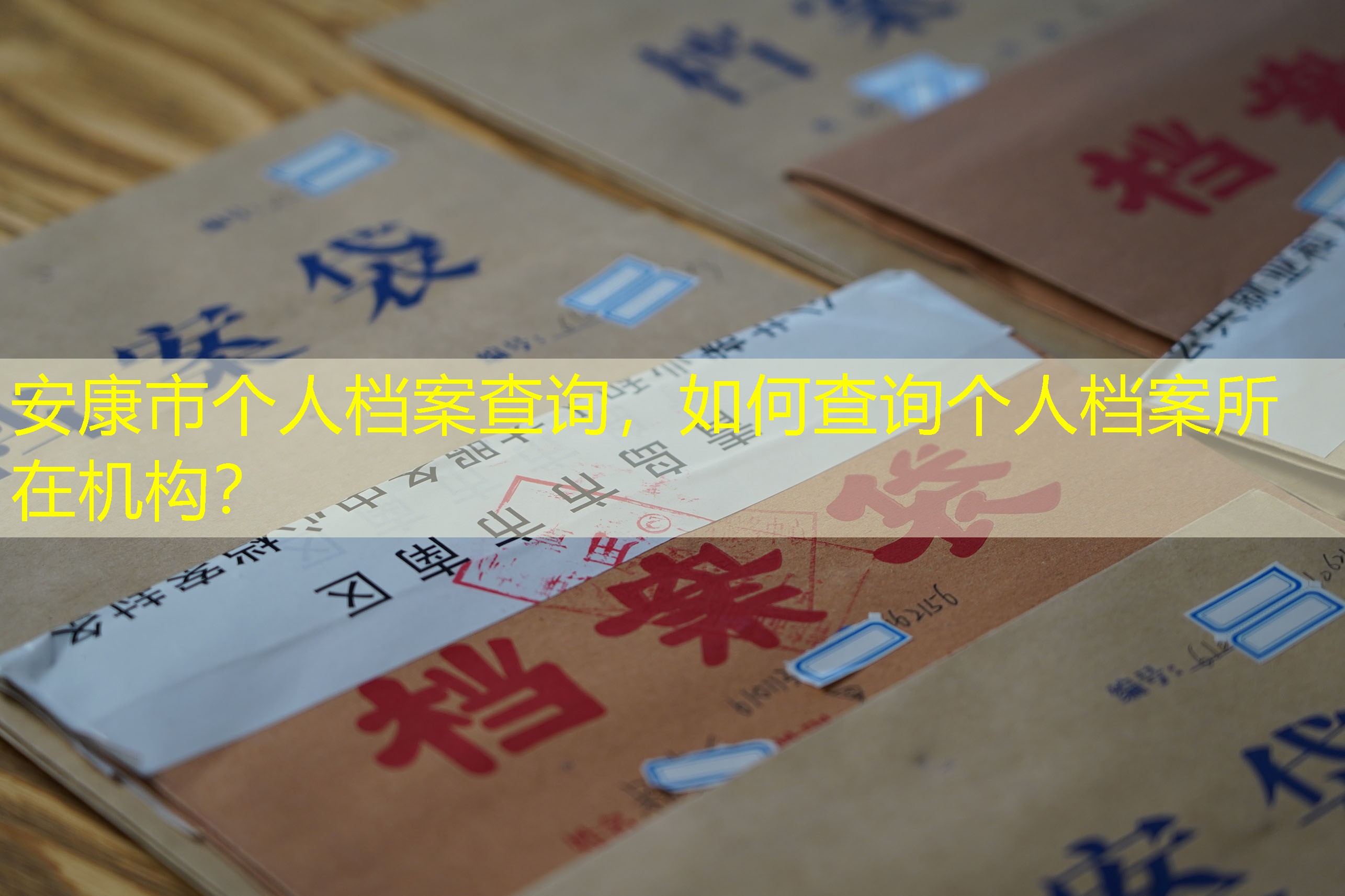 档案查询