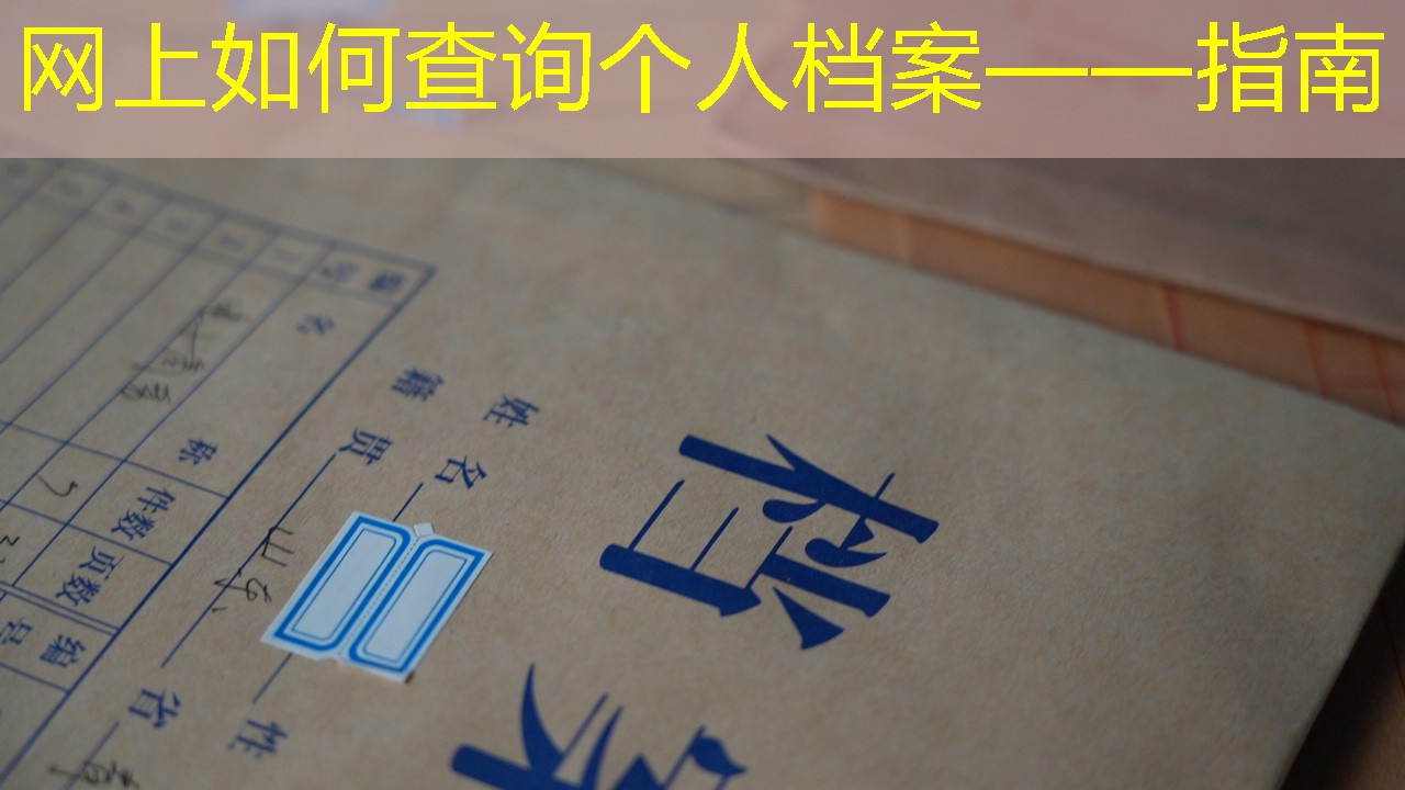 档案查询