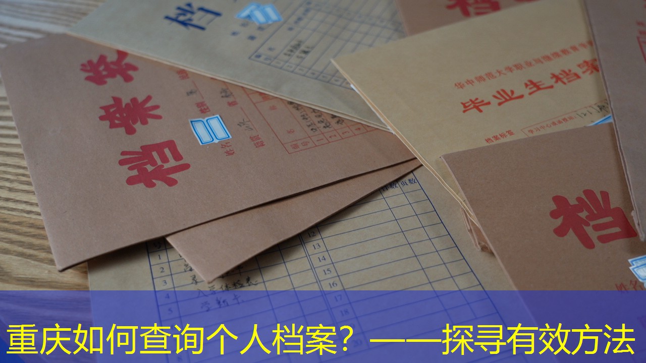 档案查询
