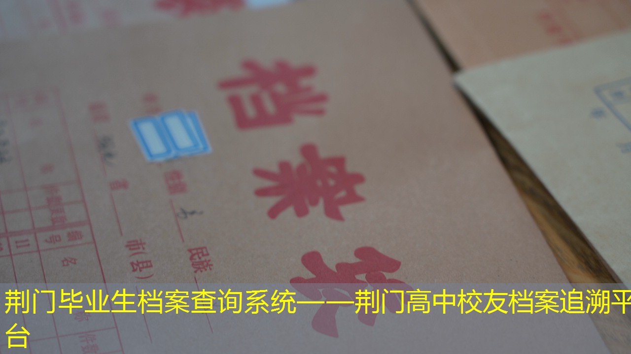 档案查询