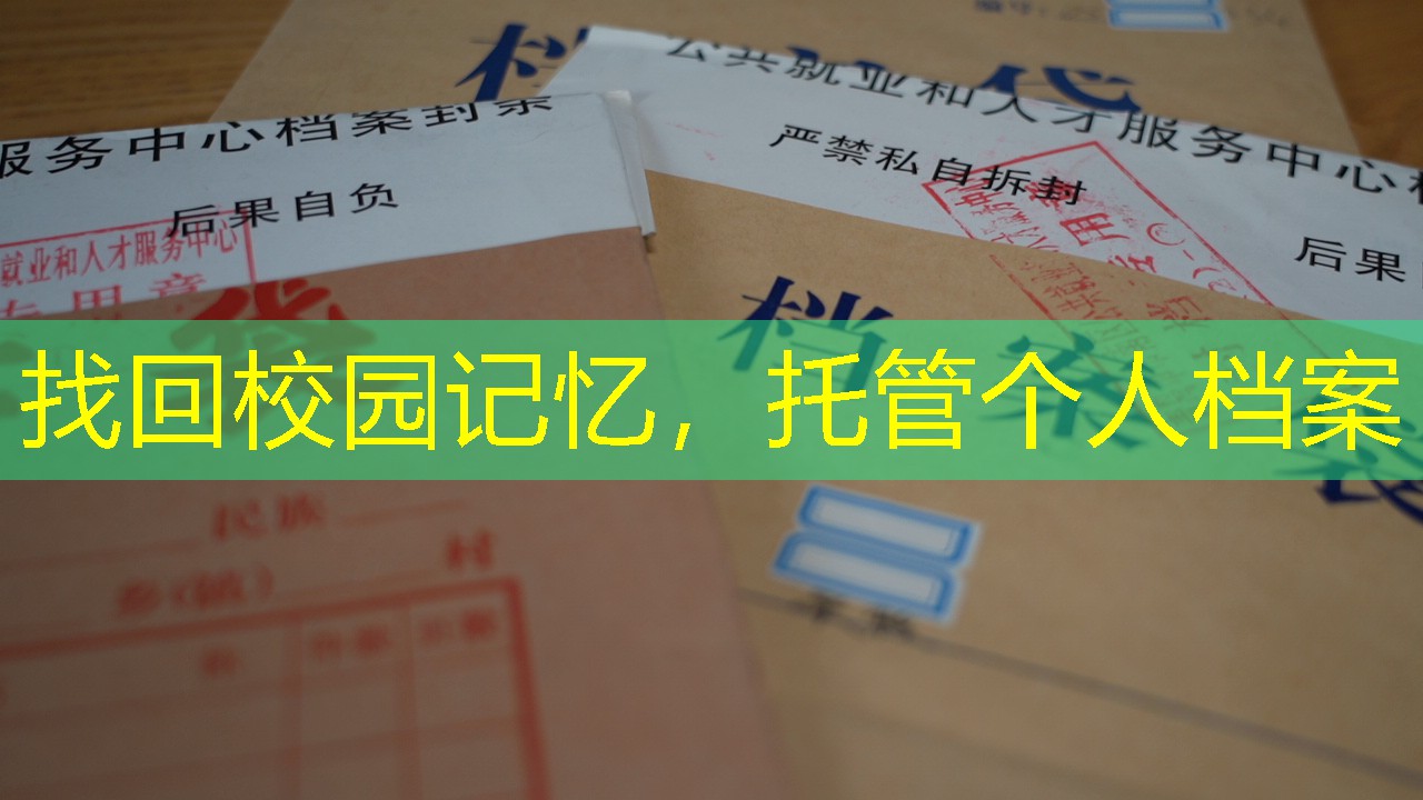 档案查询
