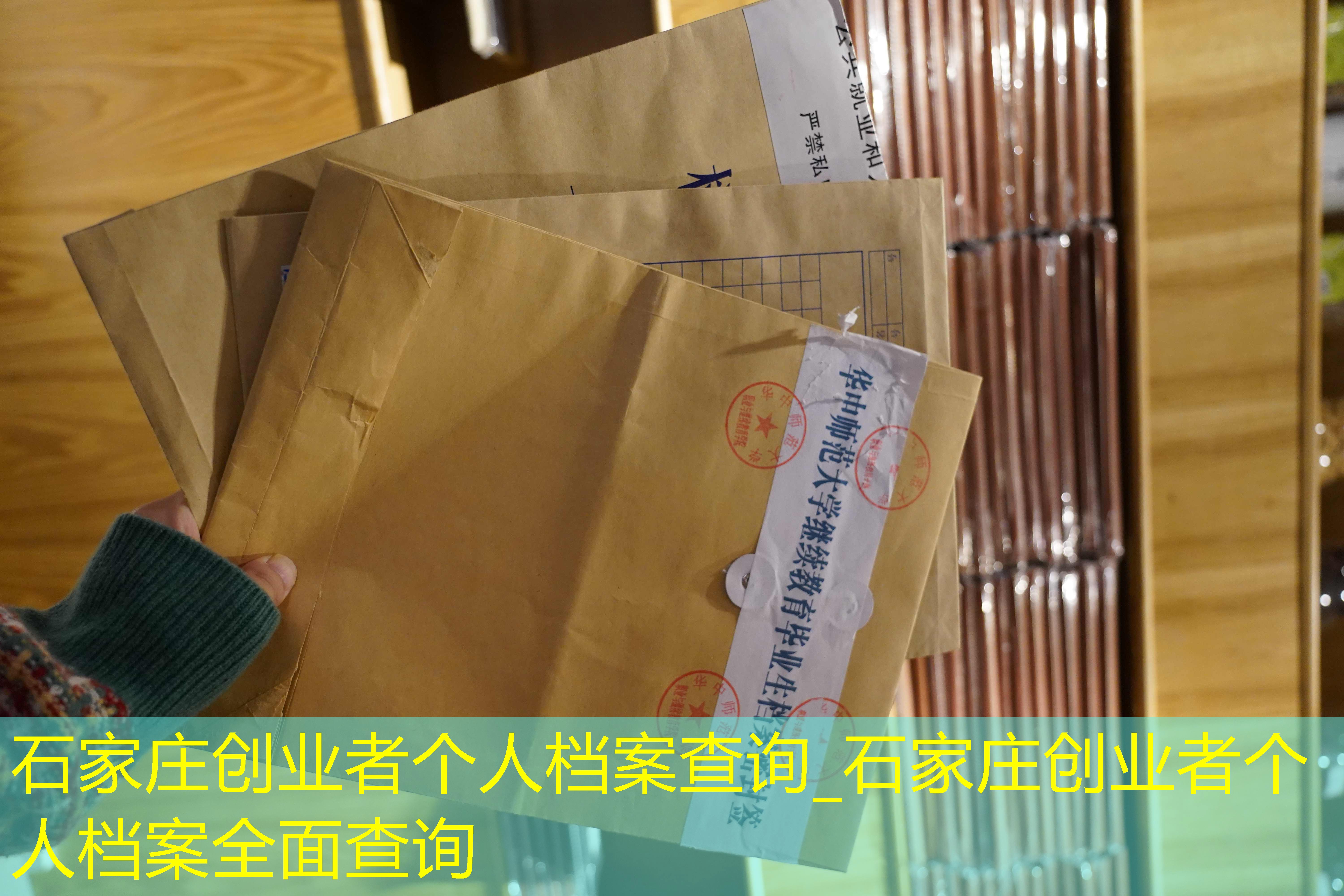 档案查询