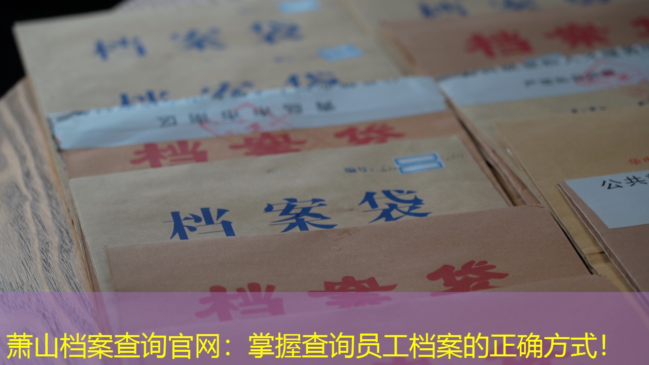 档案查询