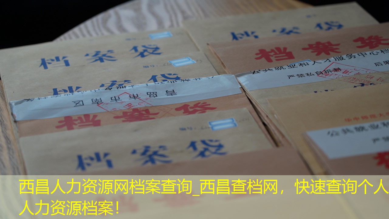 档案查询