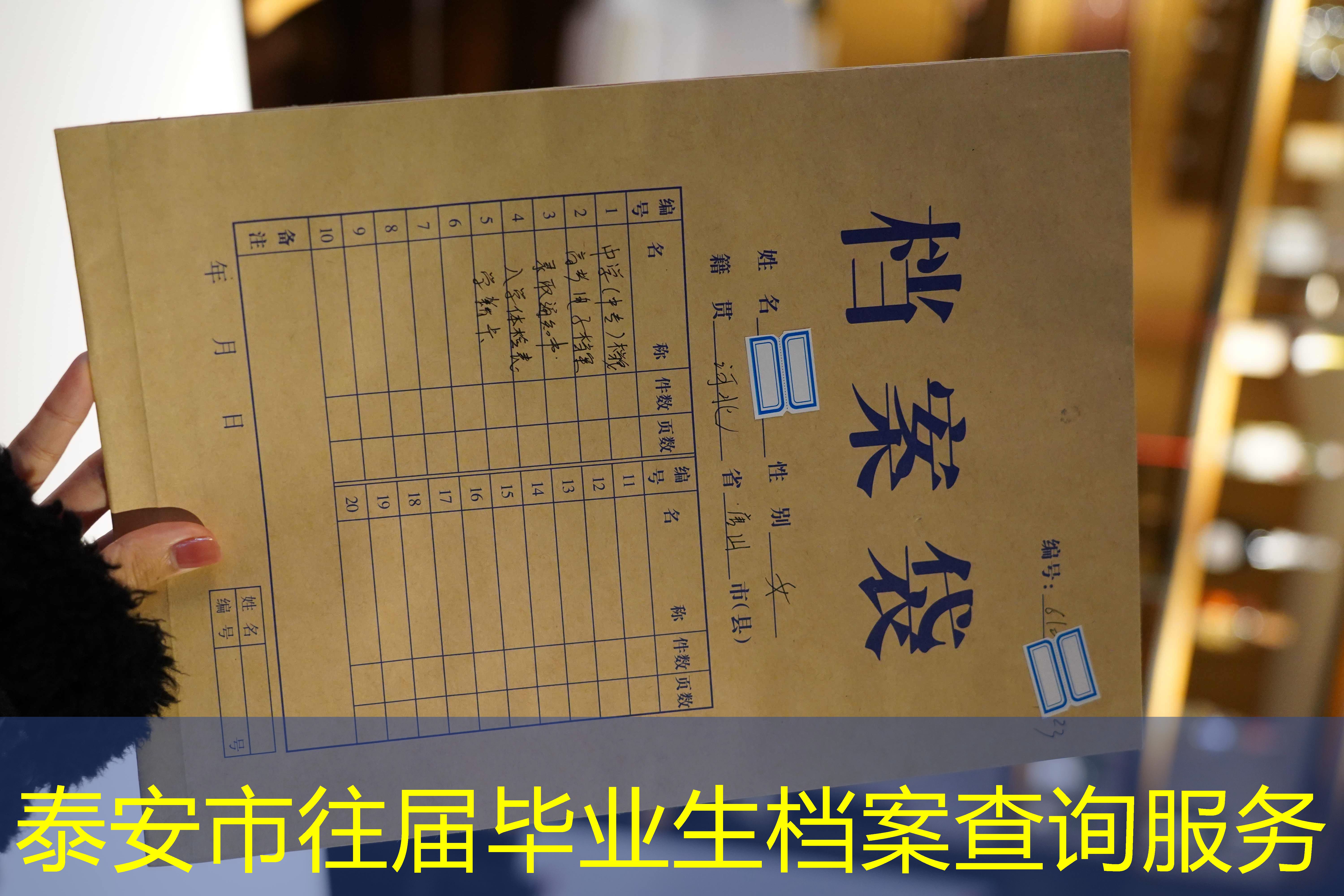 档案查询