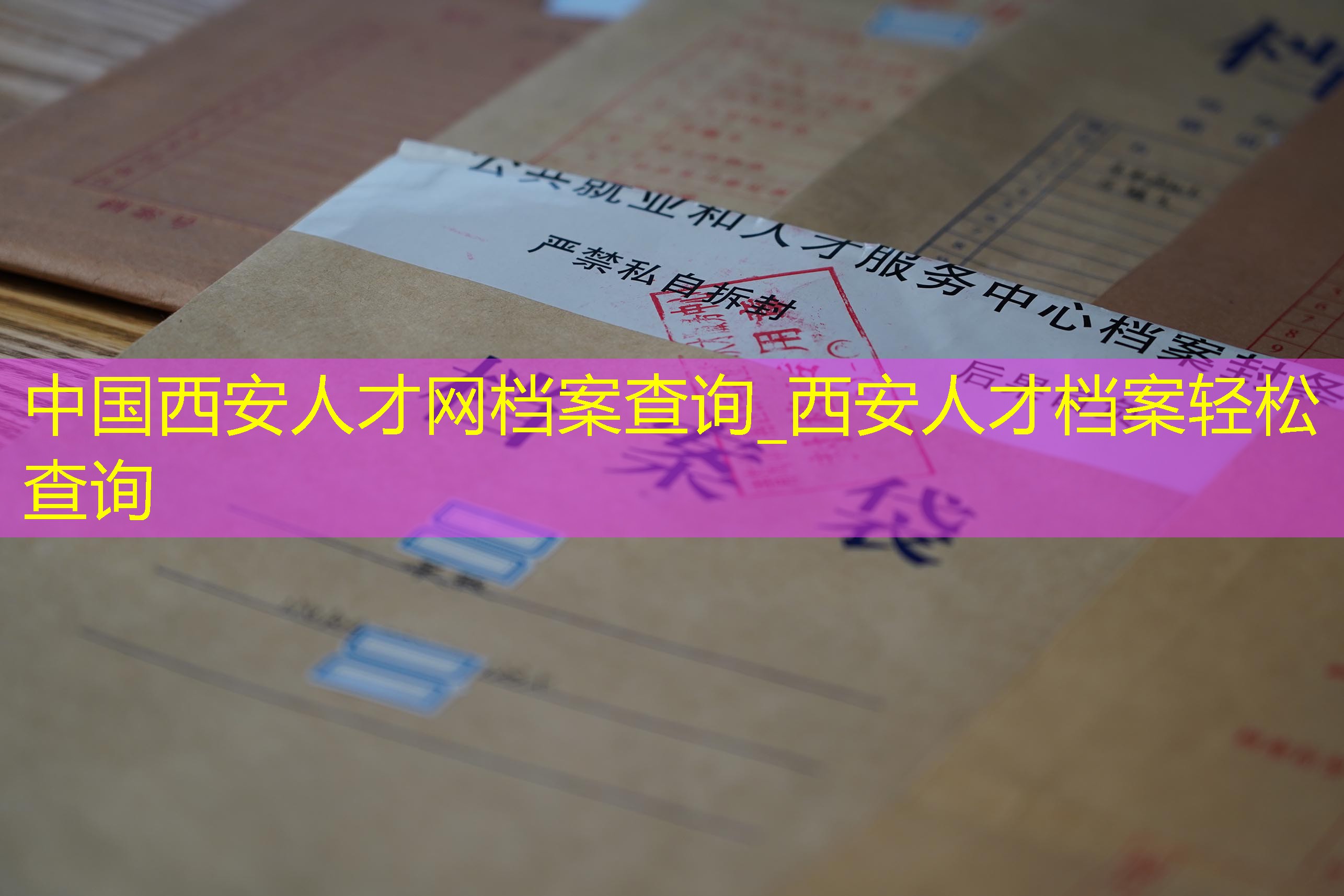 档案查询