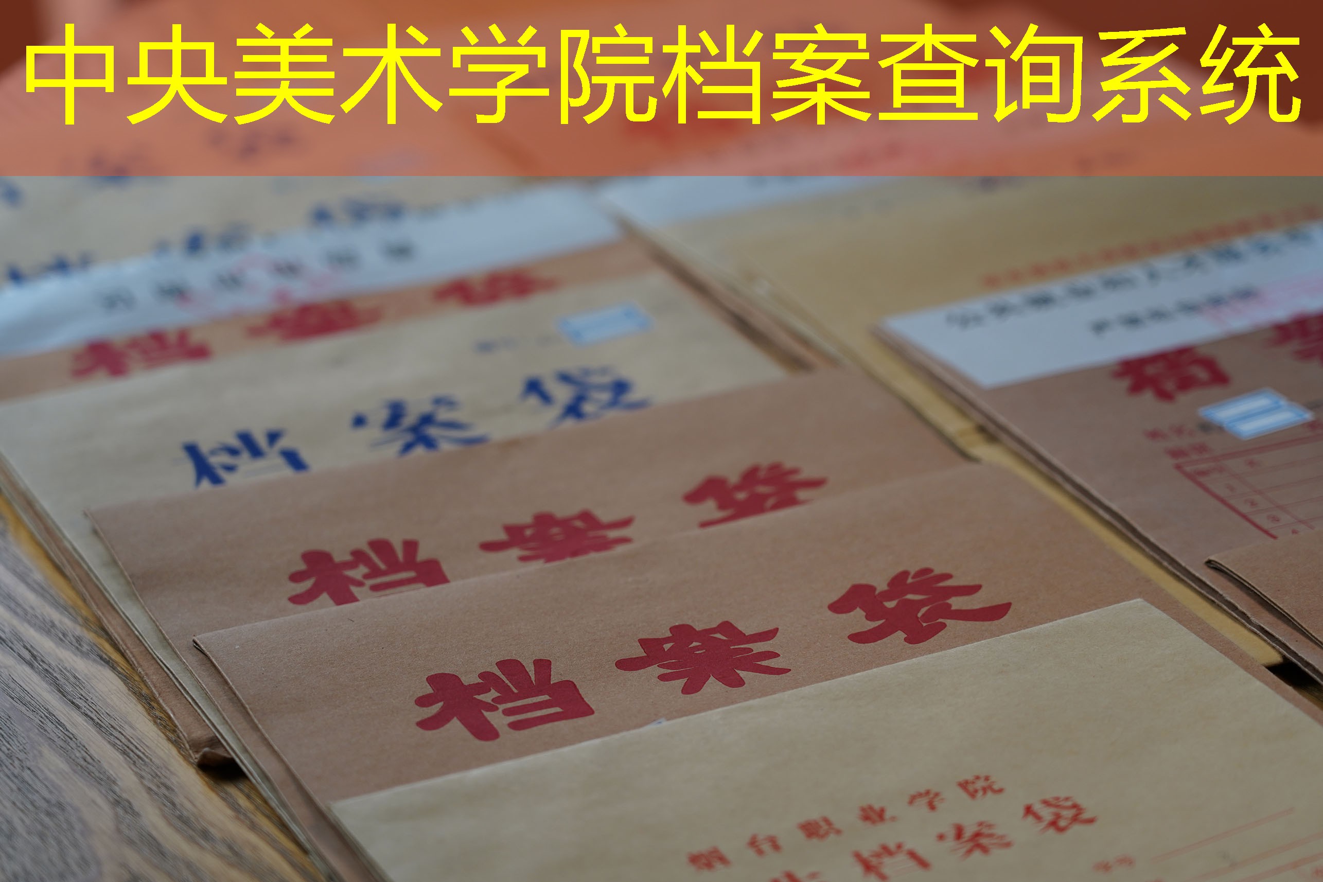 档案查询