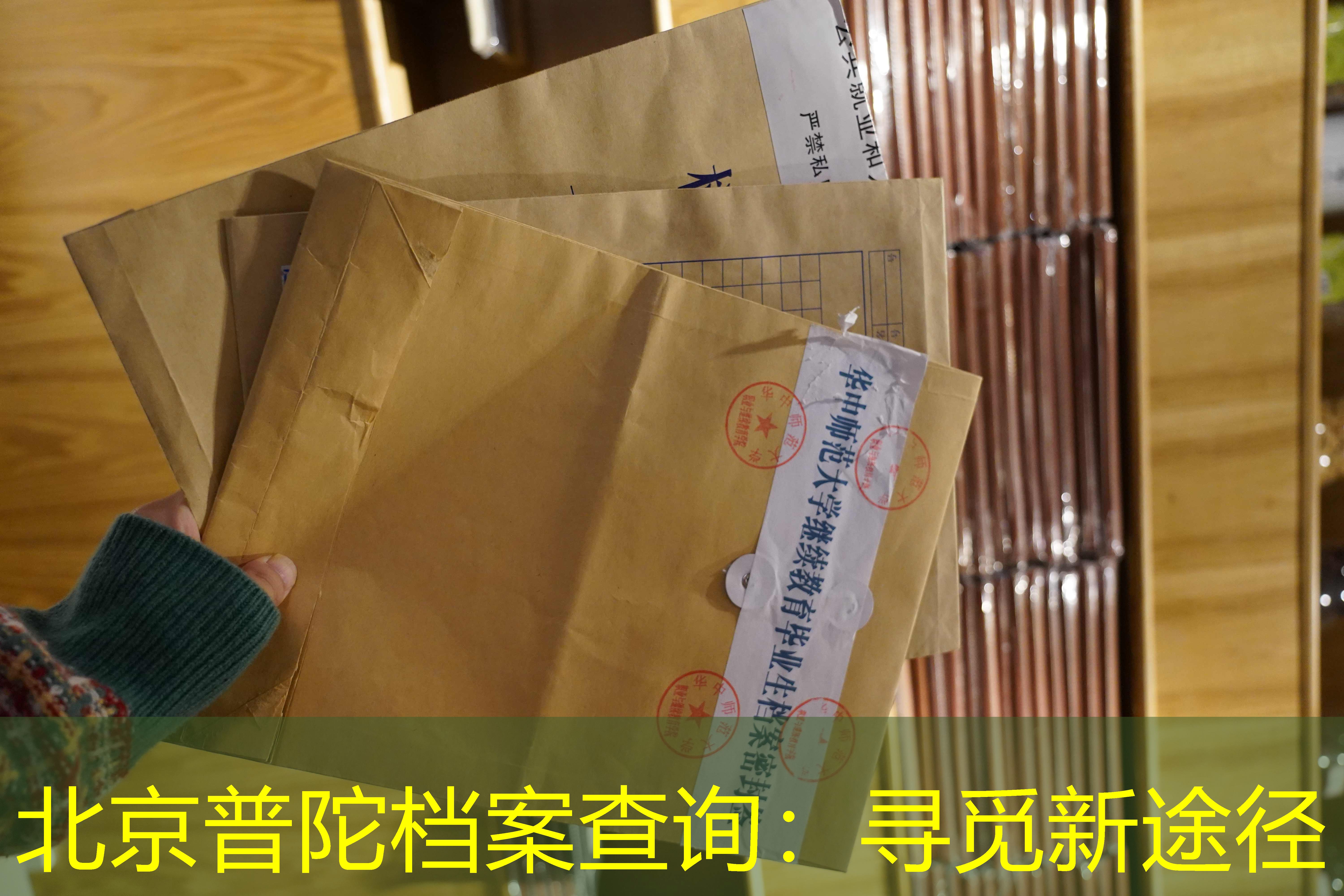 档案查询