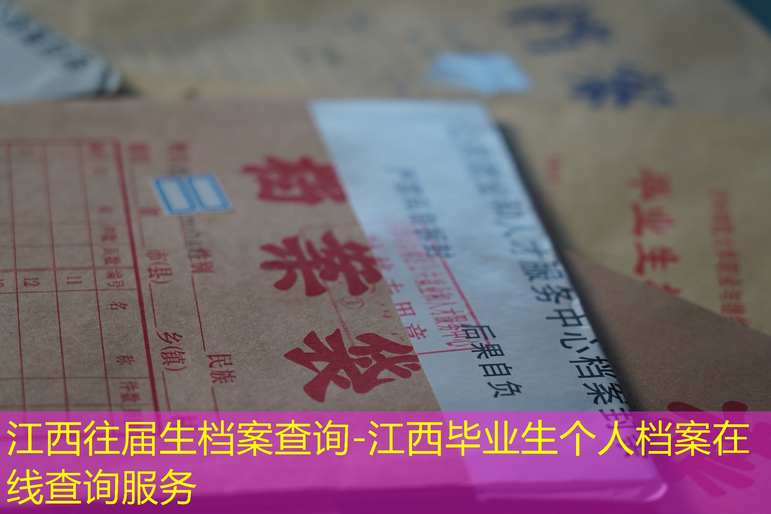 档案查询