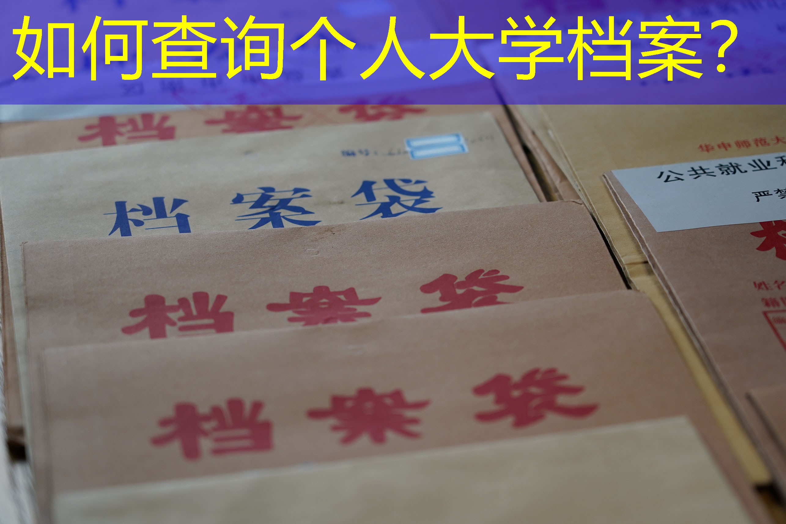 档案查询