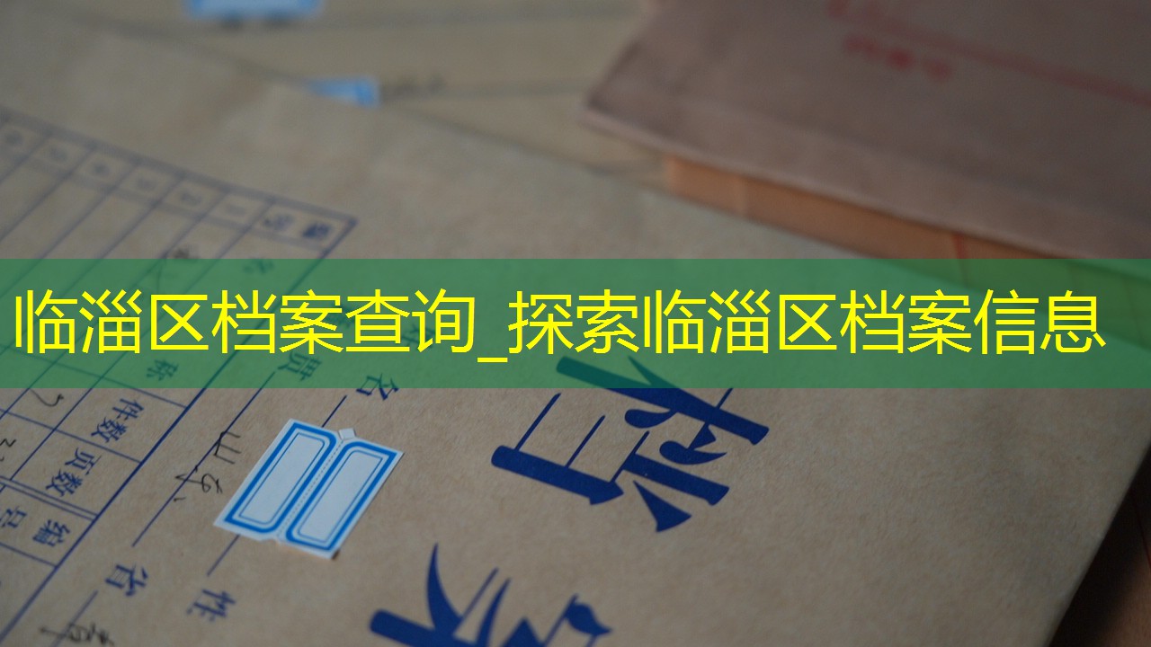 档案查询